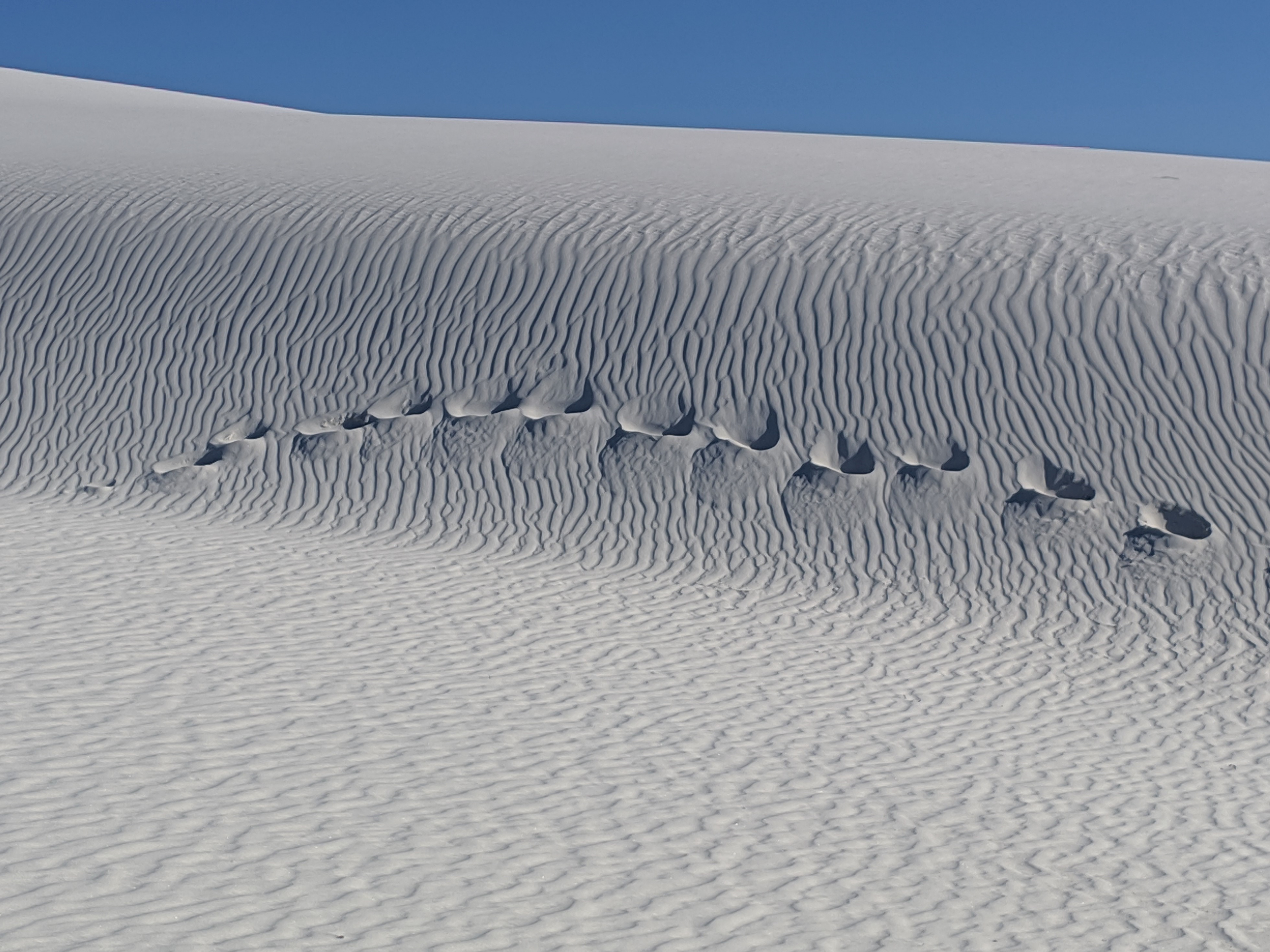 Footprints on the Sands of Time
