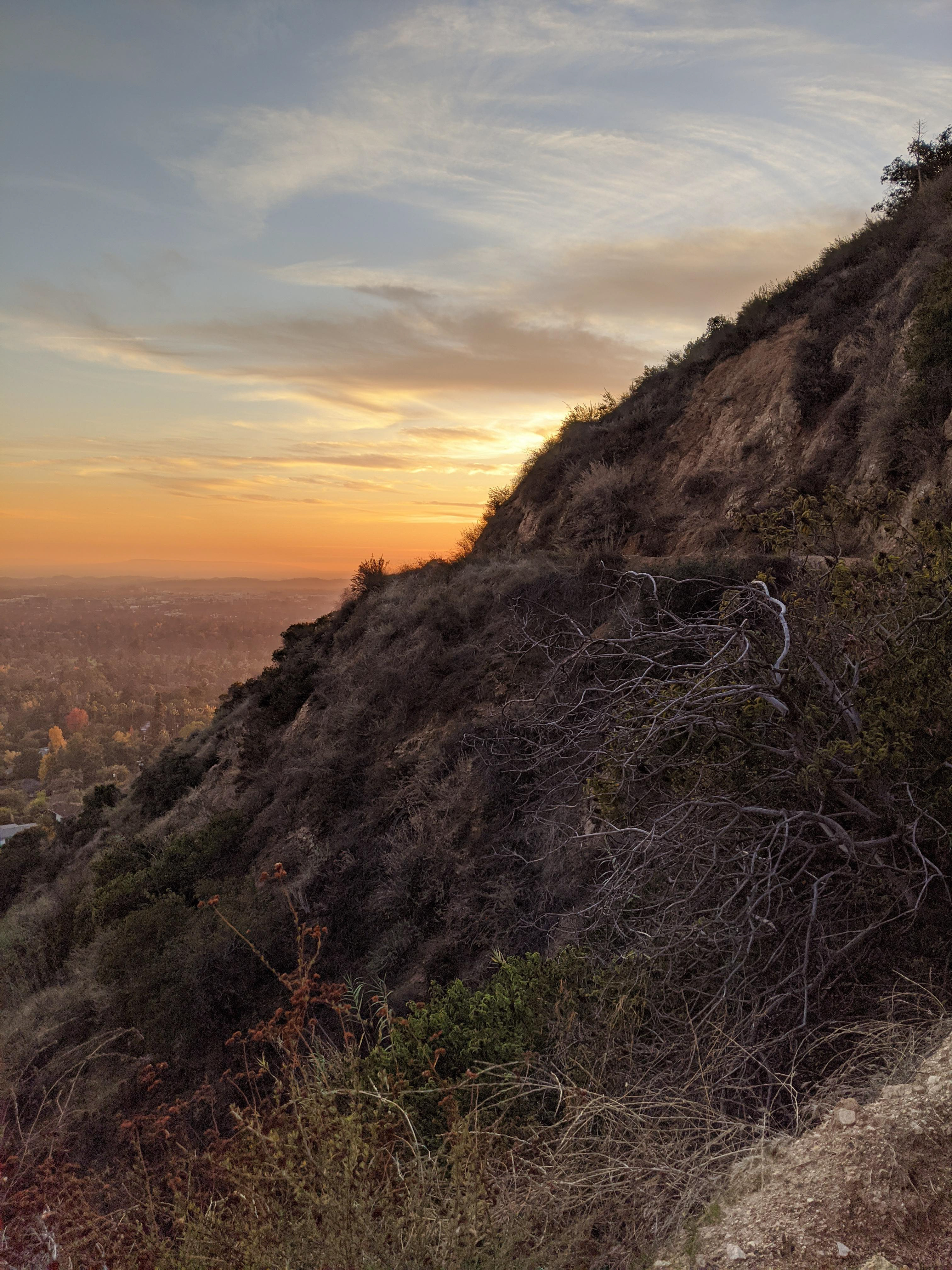 Winter Evening on the Trail