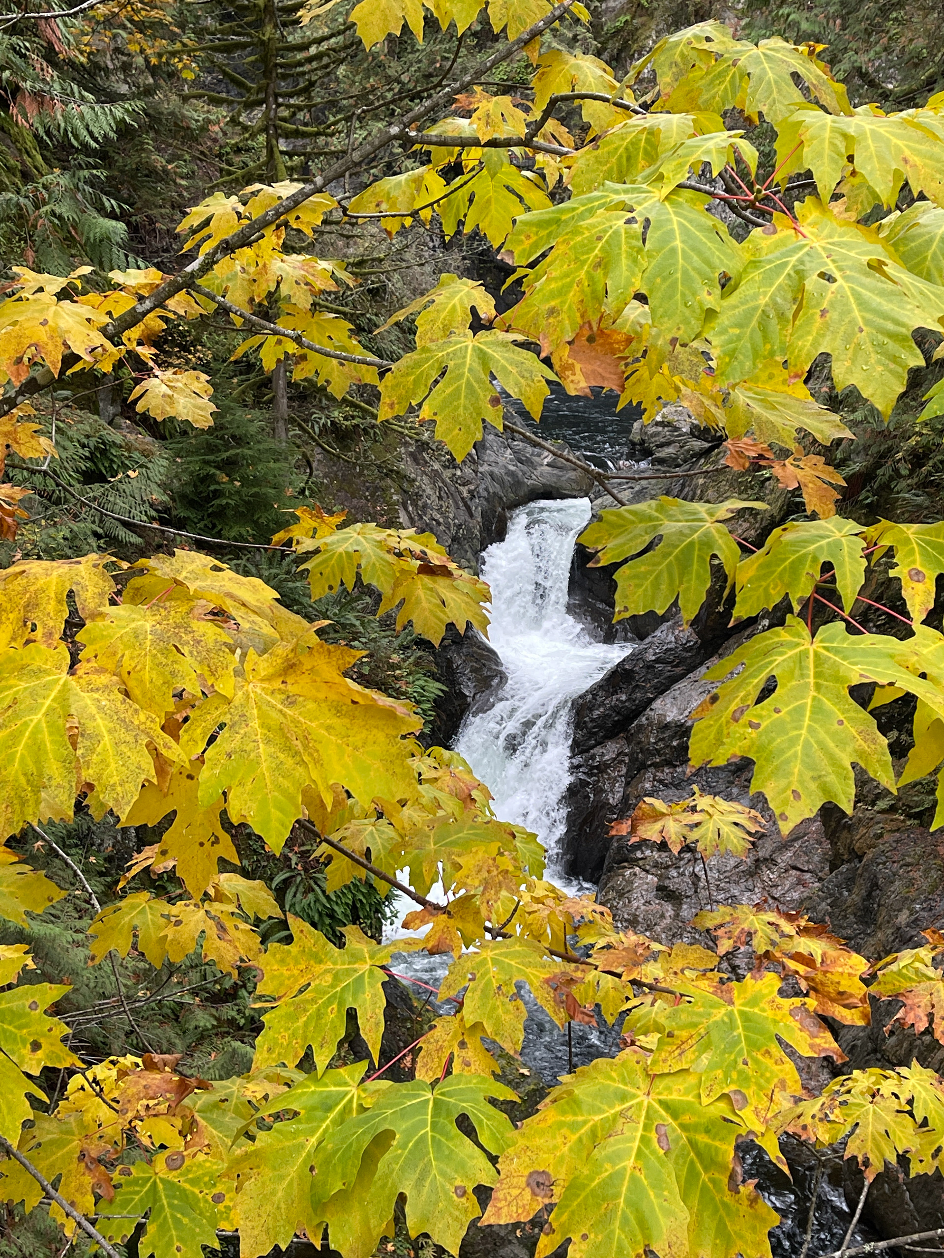 Falling Trough The Gap