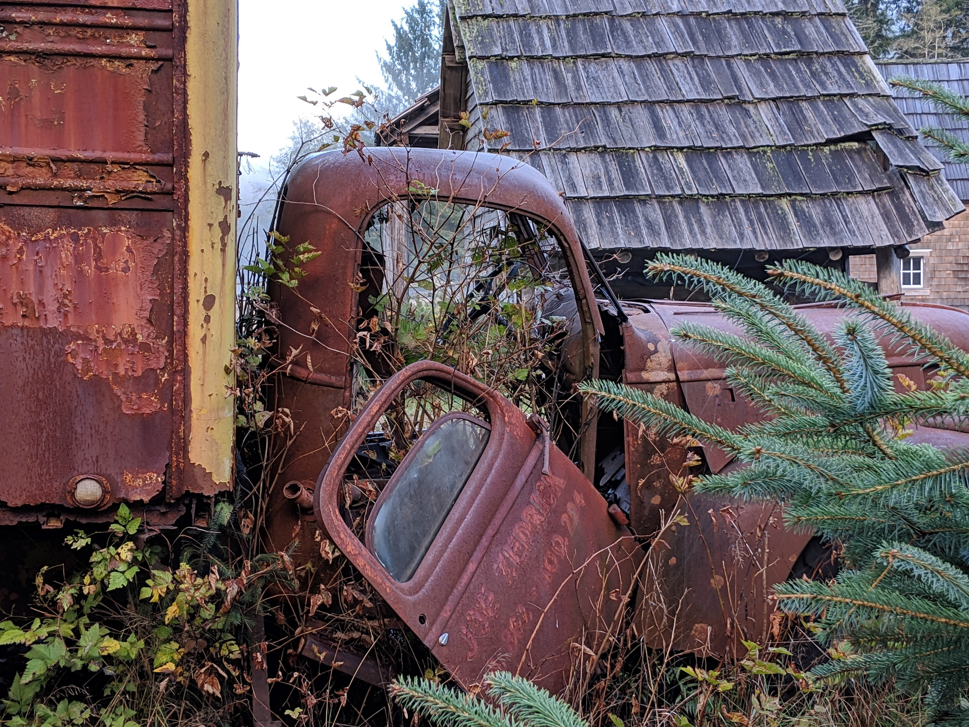 Many Stories to Tell