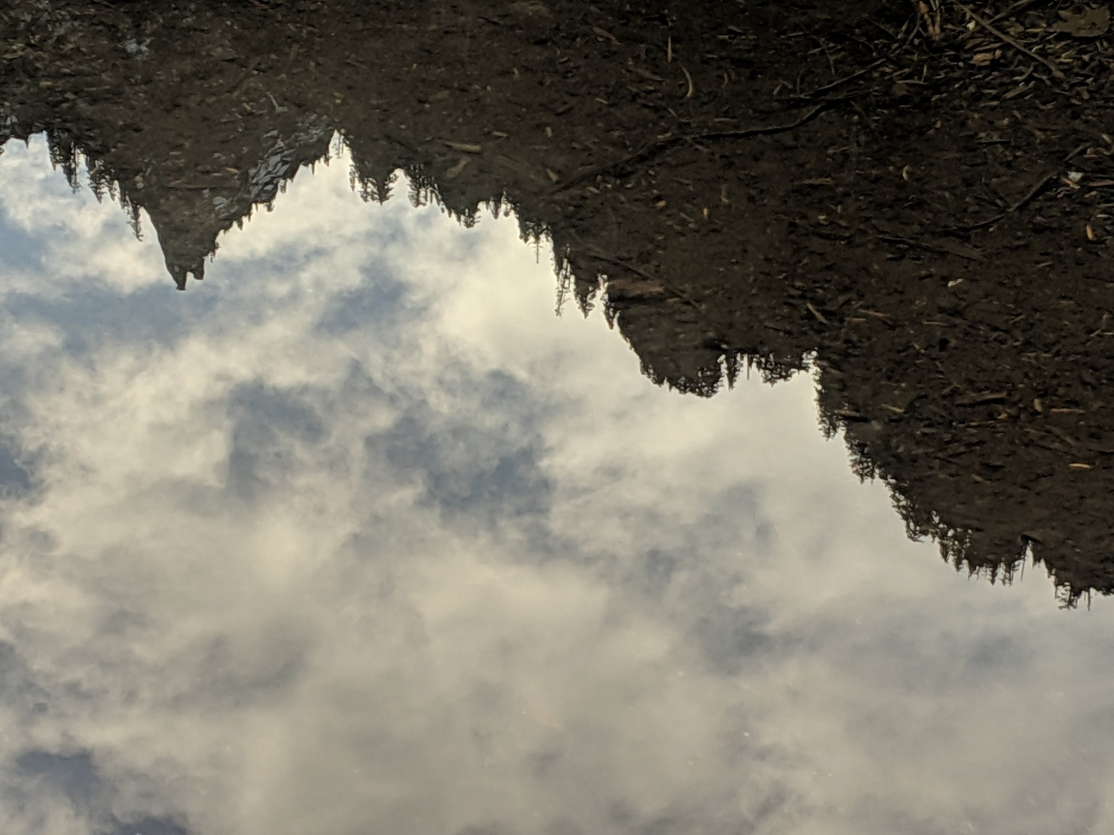 Through The Looking Glass