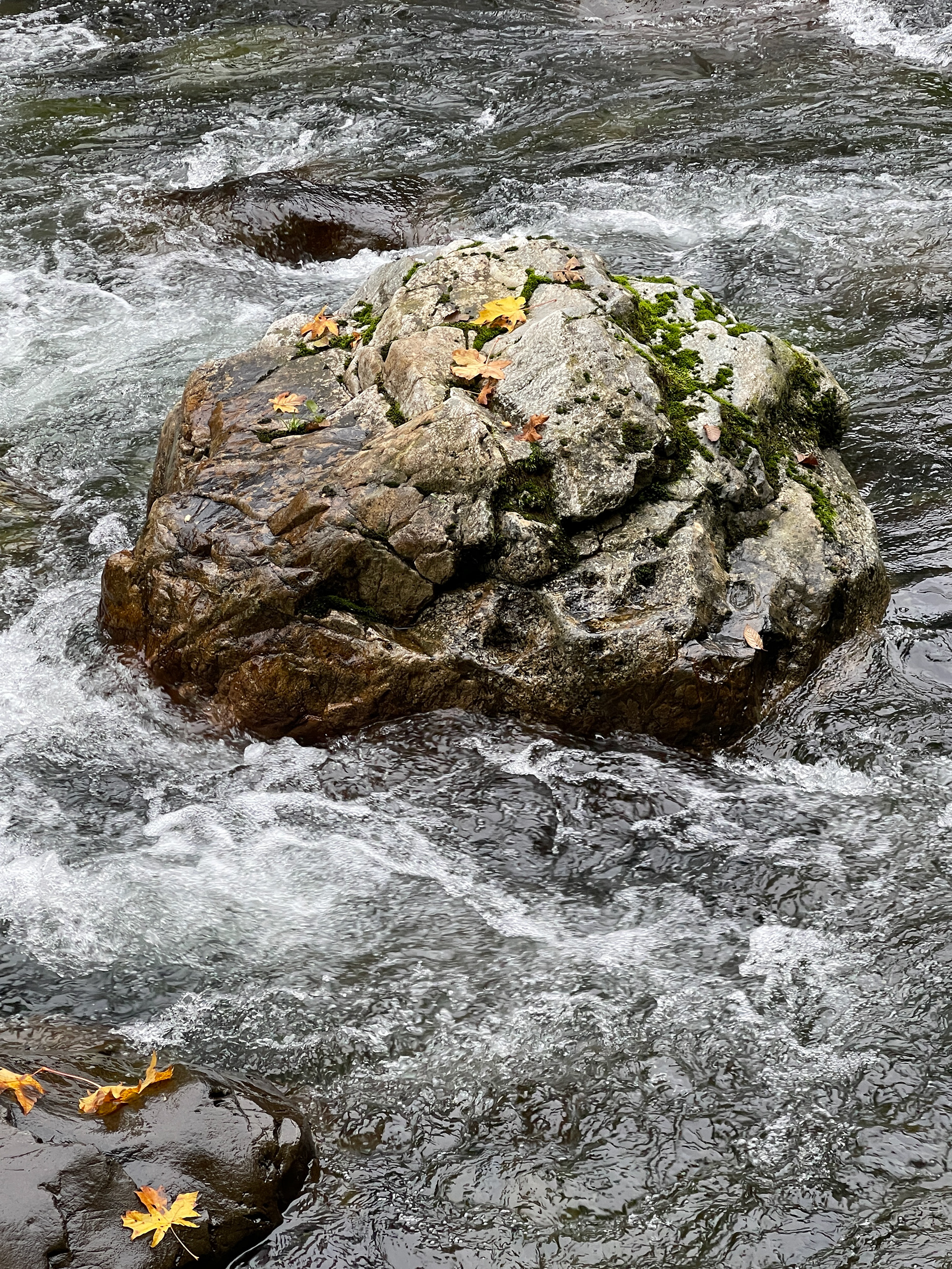 A River Runs Around It