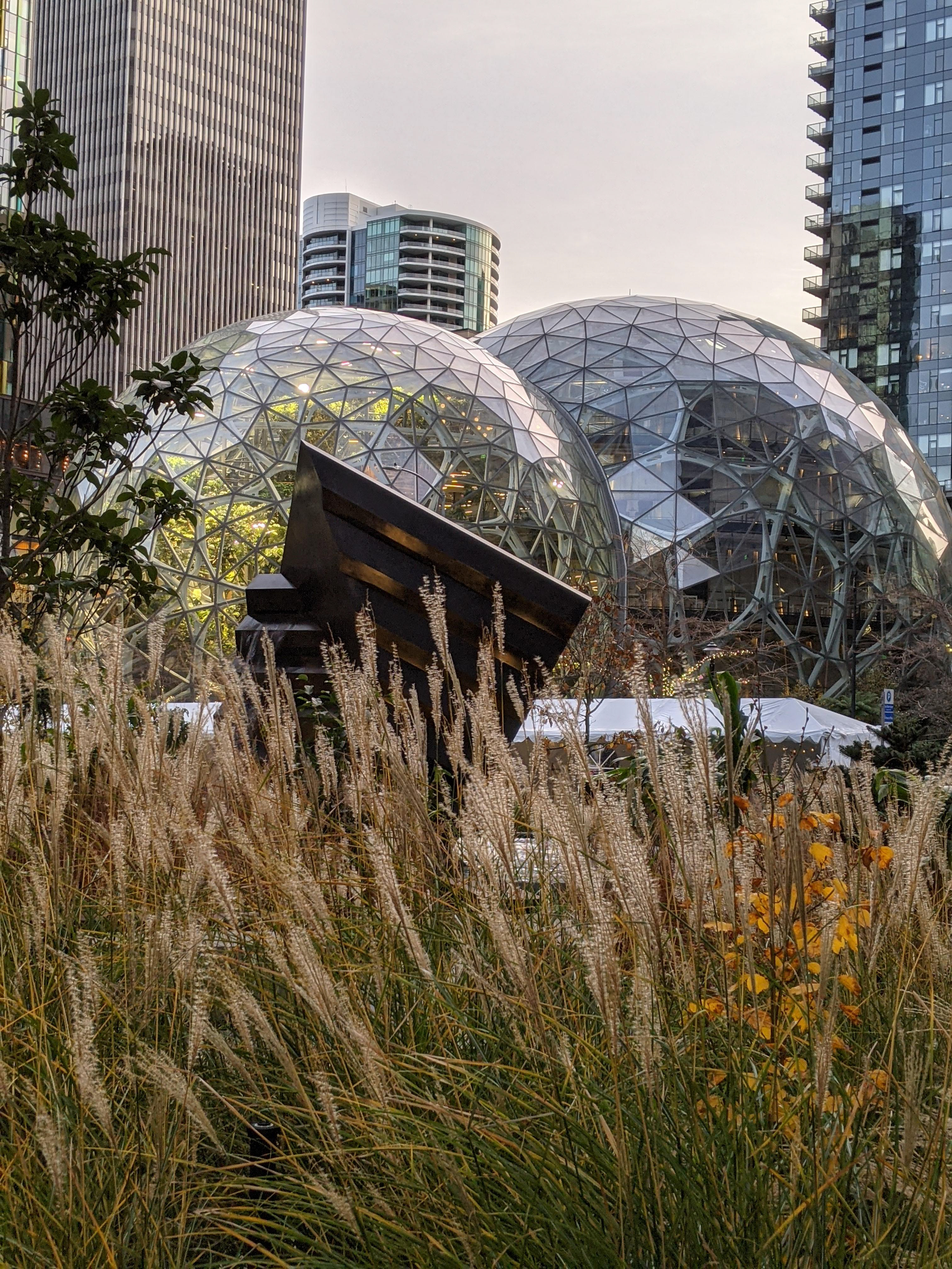 The Domes