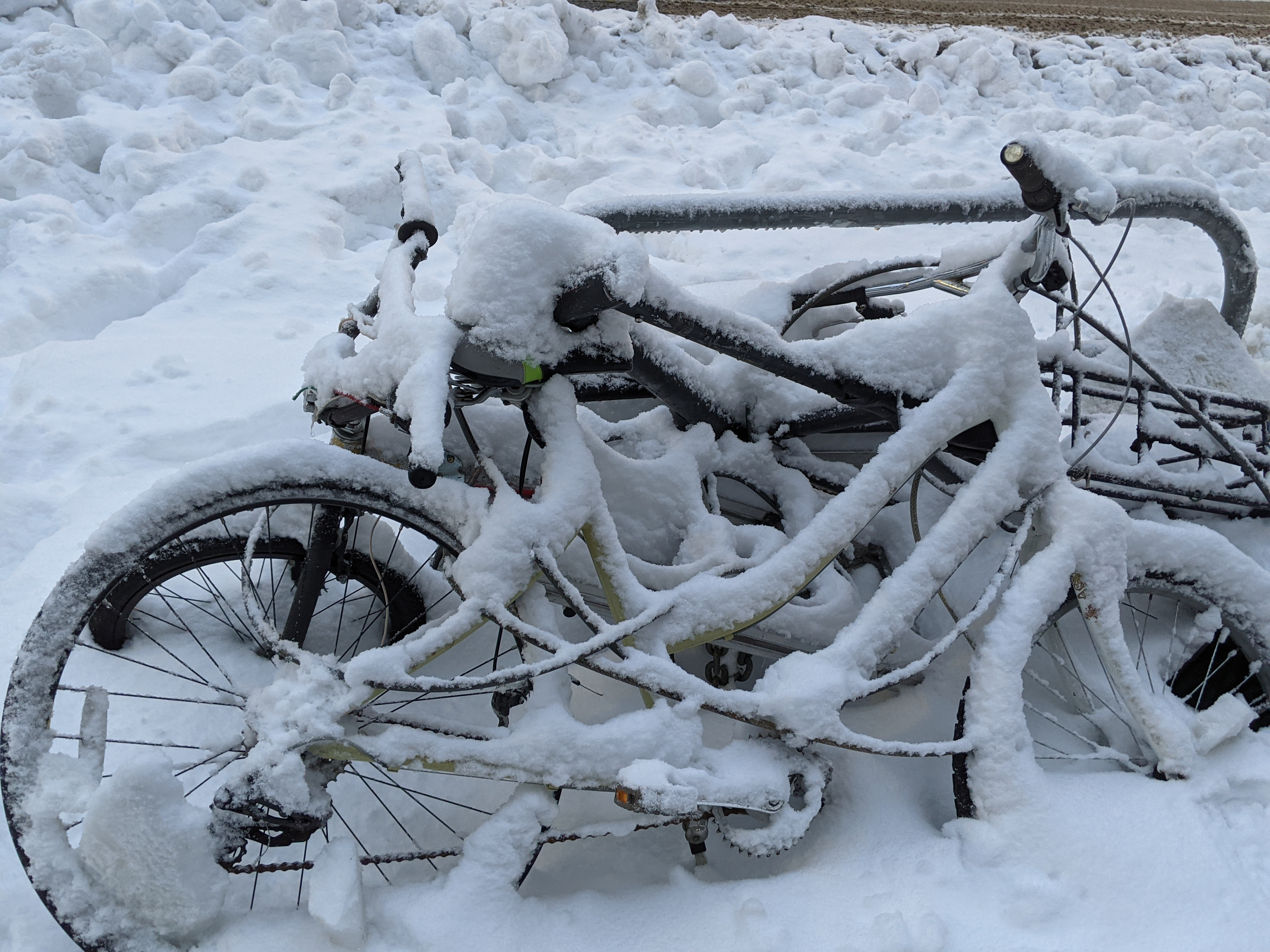 Did we bring in the bikes?
