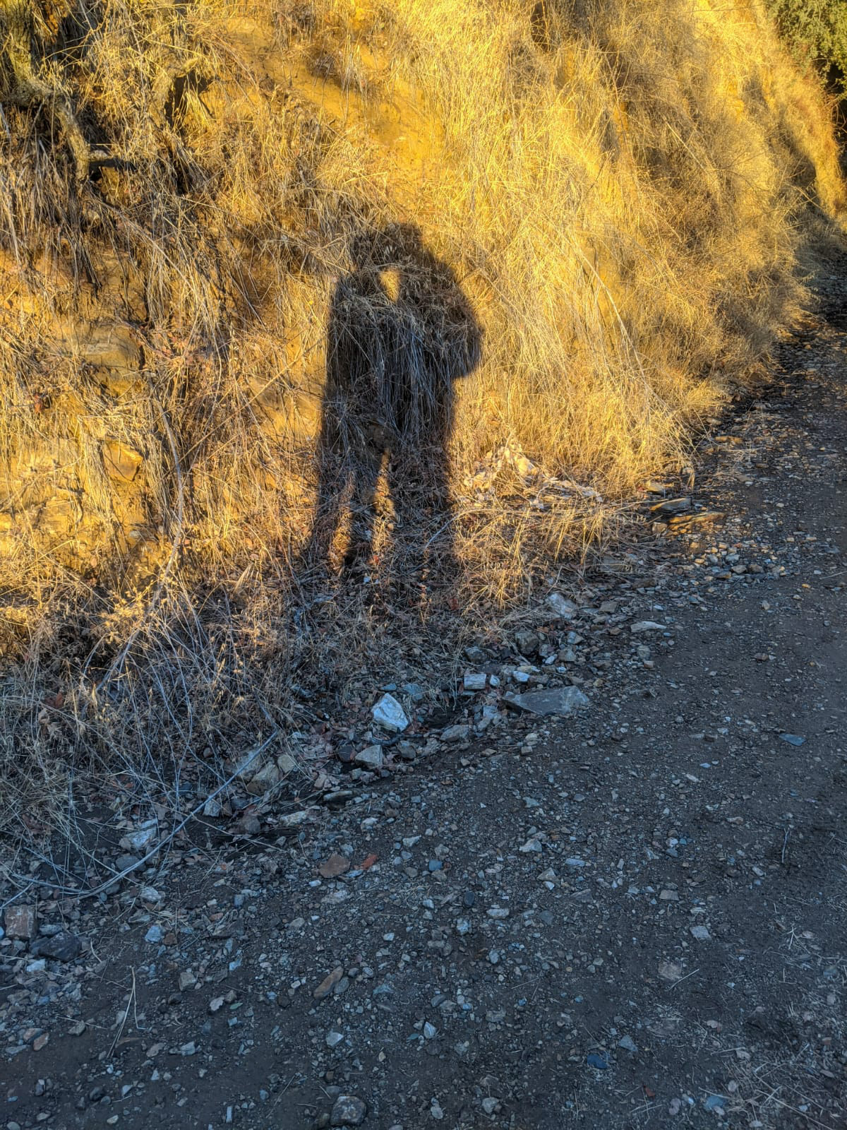 Evening Hike