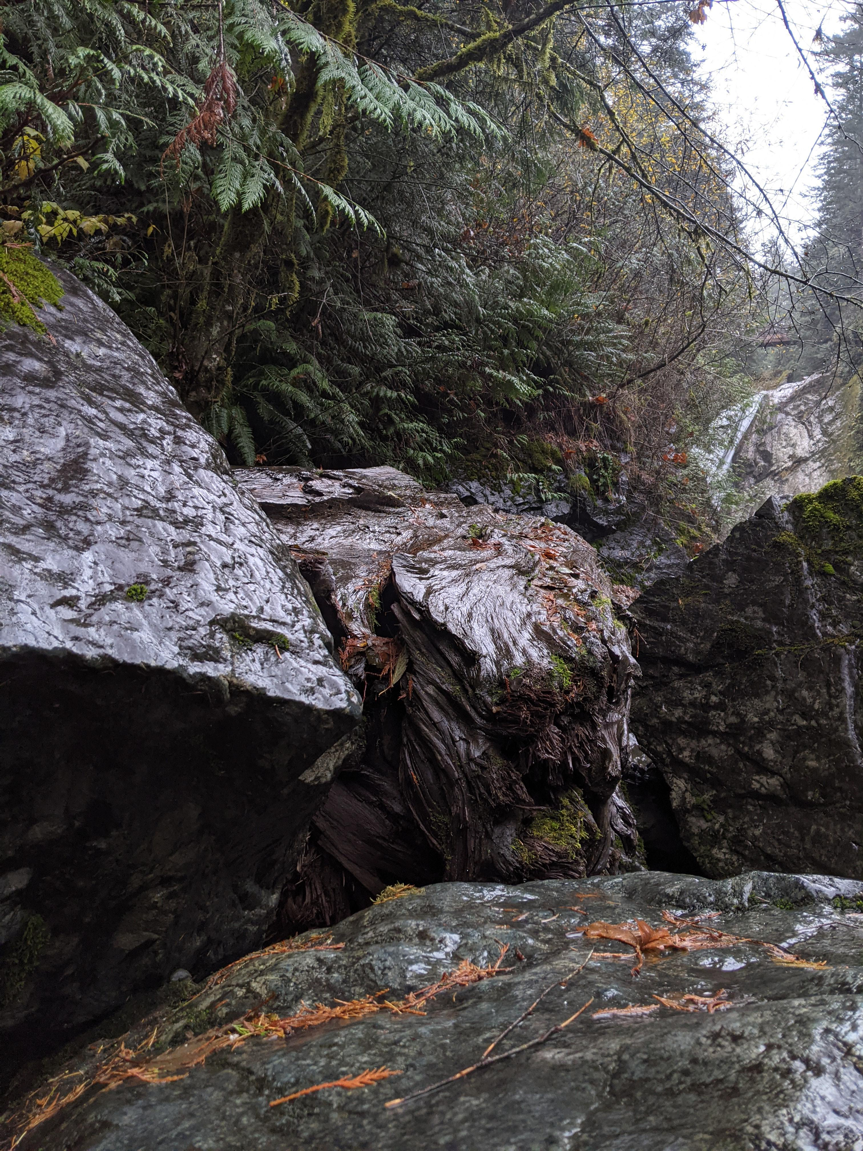 A Gathering of Old Friends