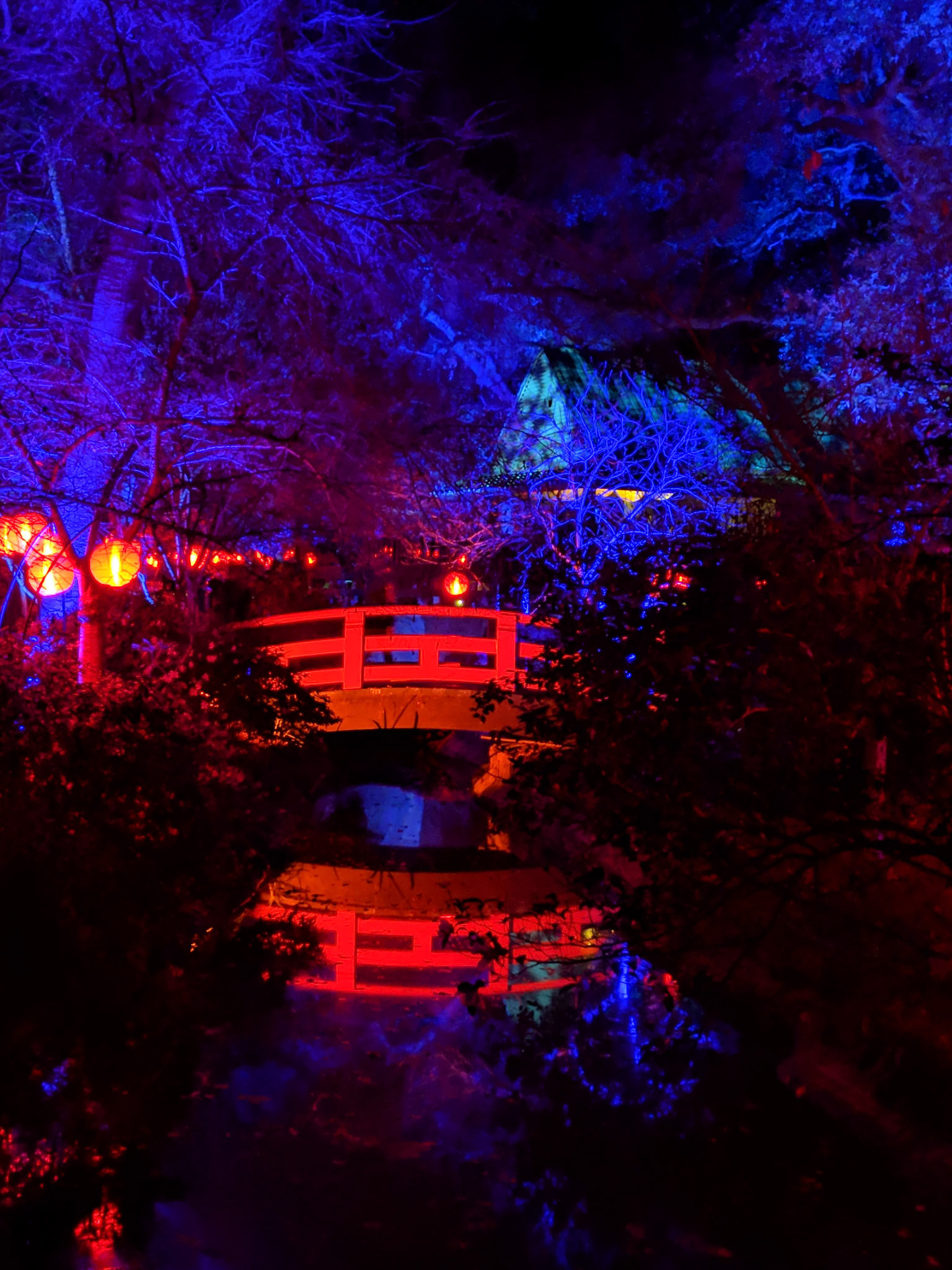 Enchanted Bridge