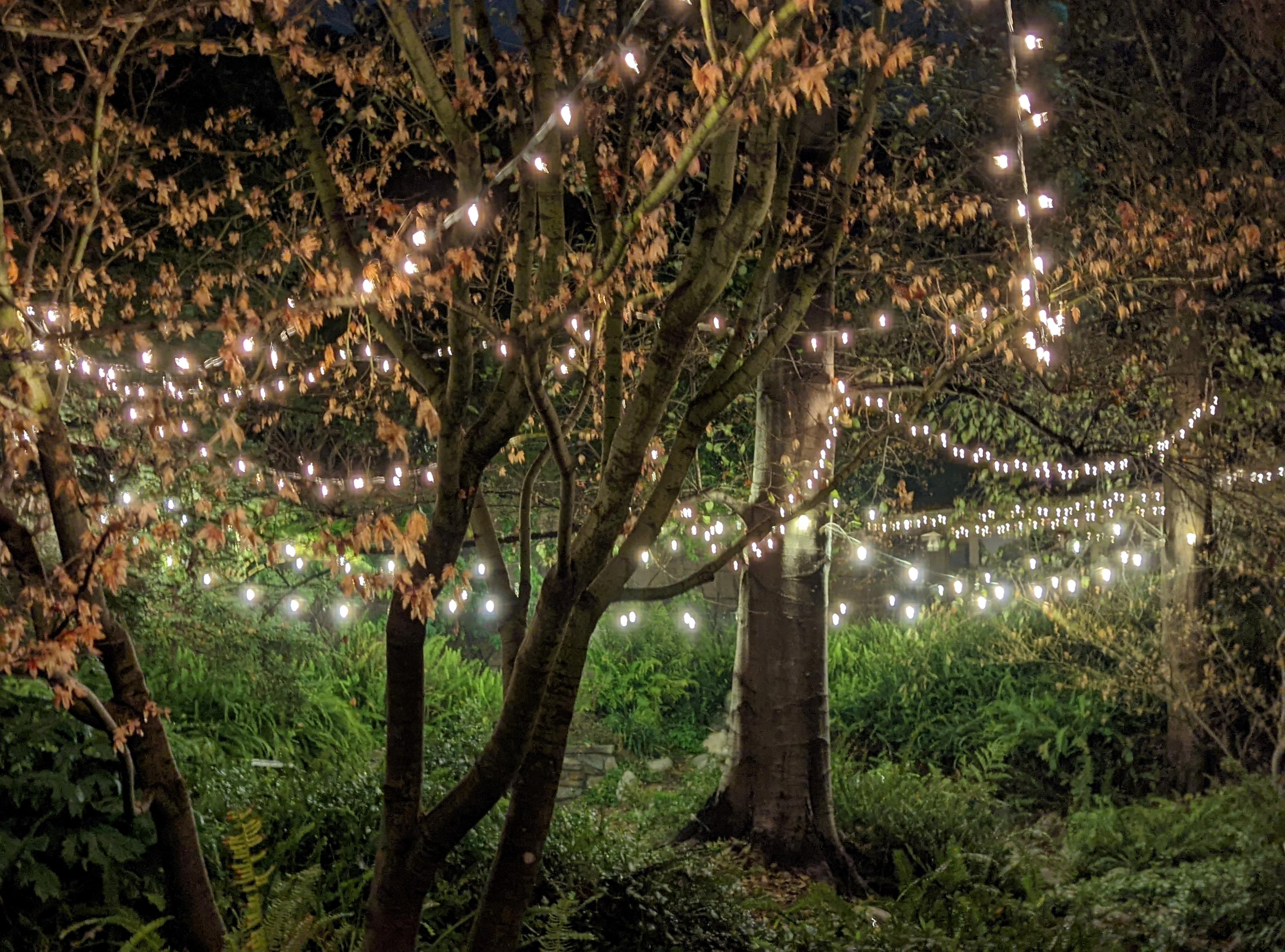 Enchantment