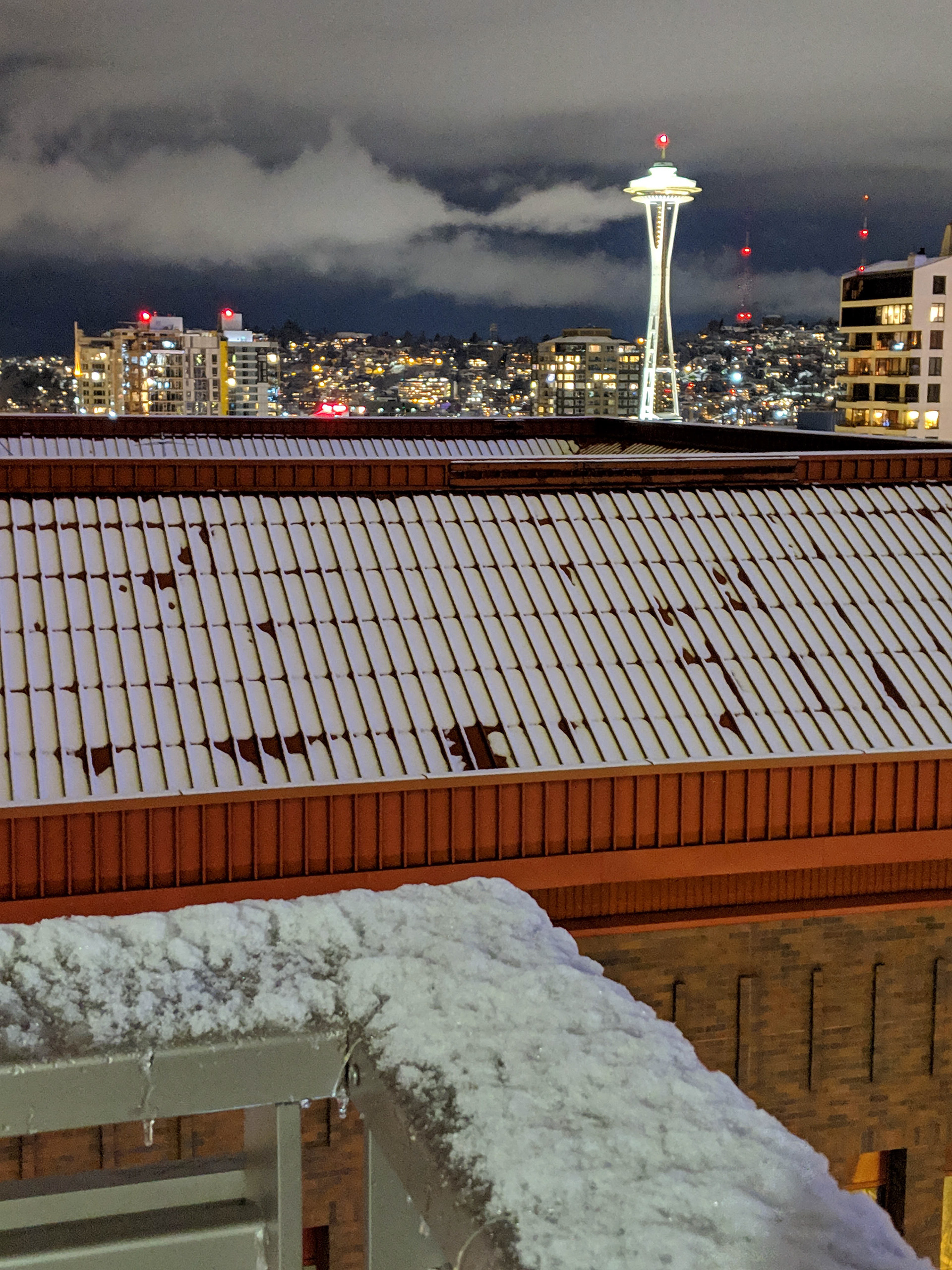 Seattle in White
