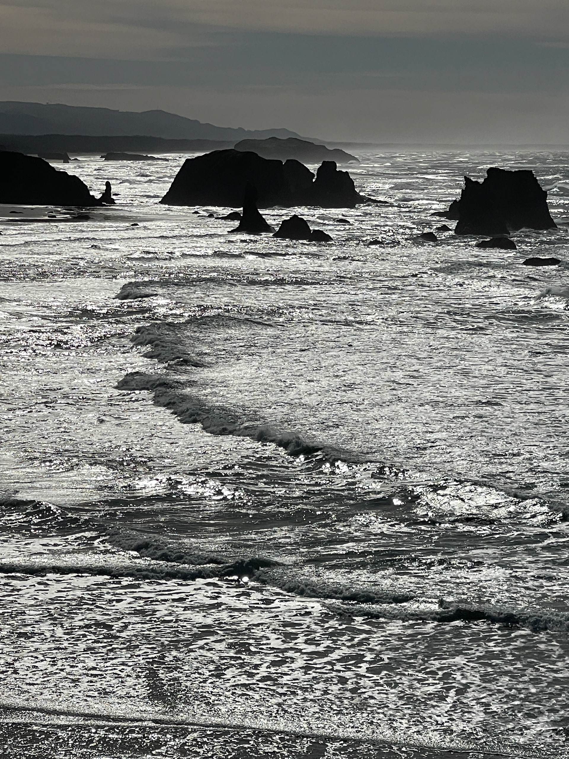 Silver Coast