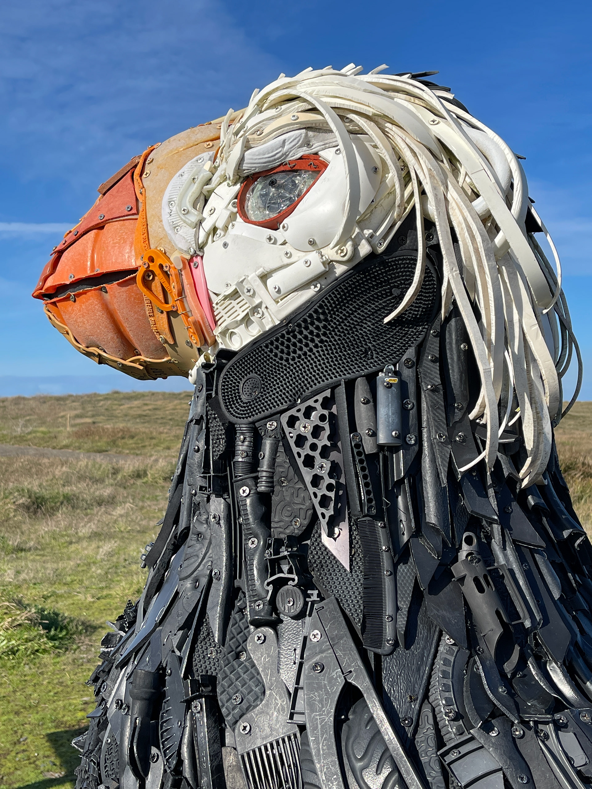 Proud Puffin