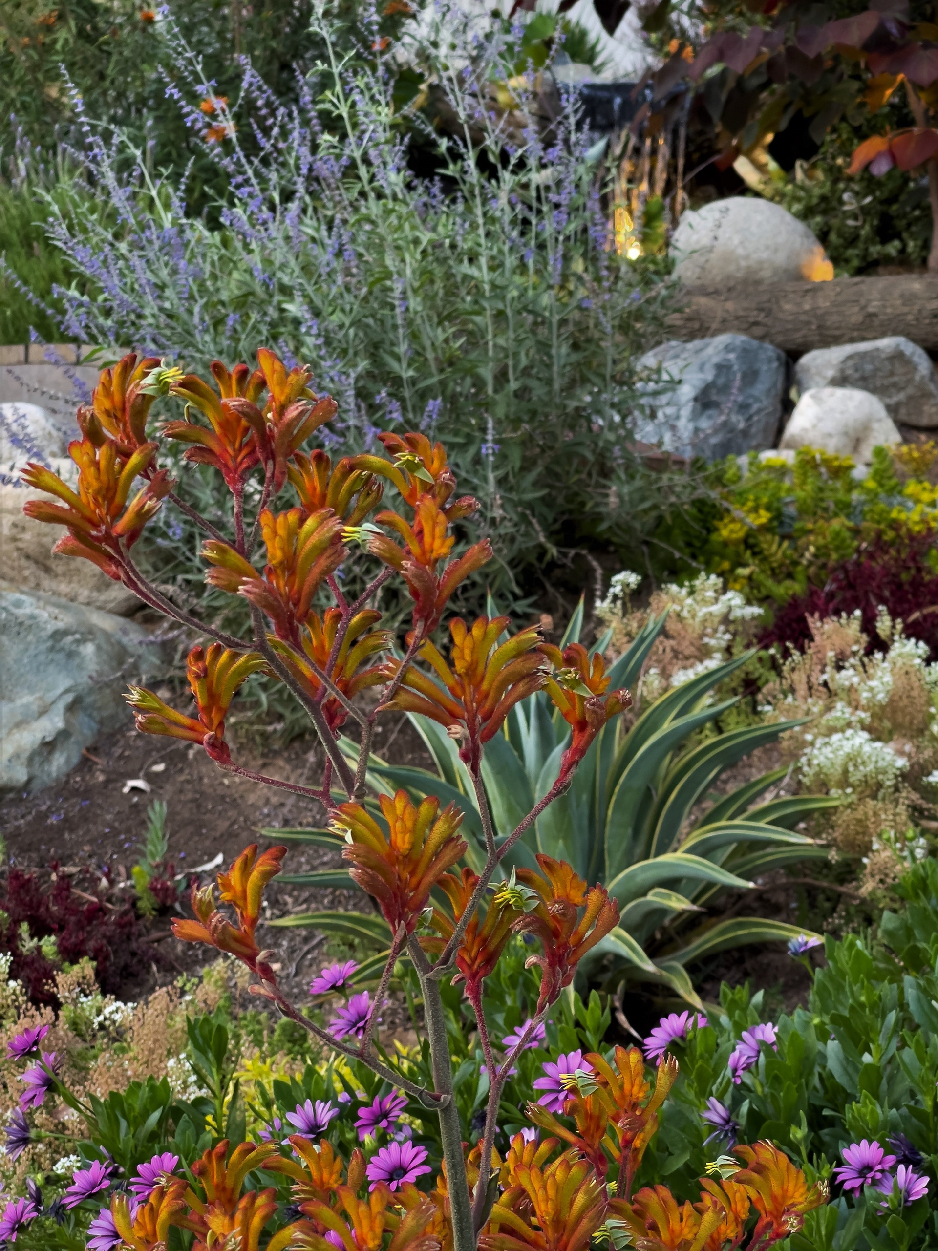 Painting With Plants