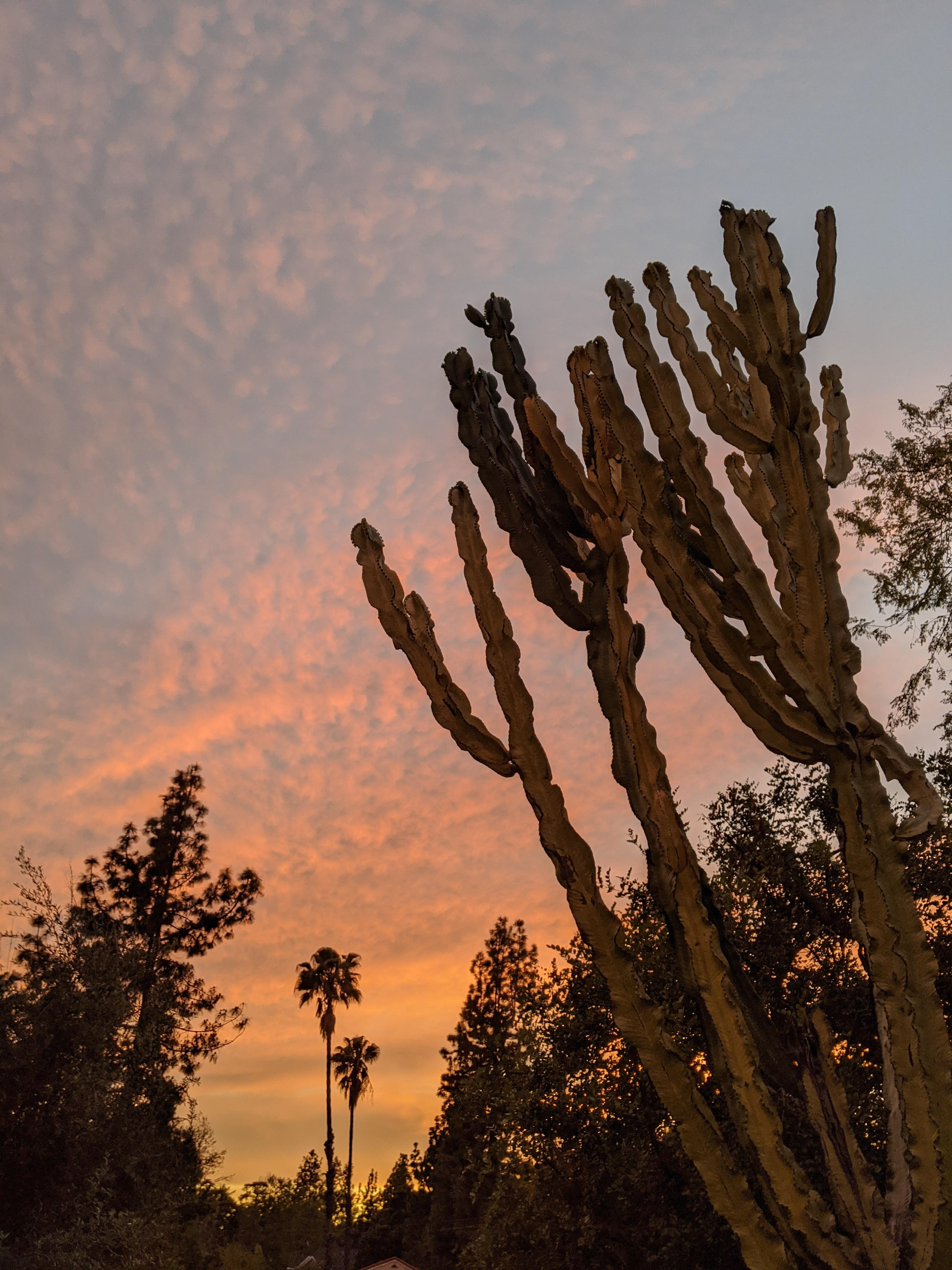 Cul-de-Sac Sunset II