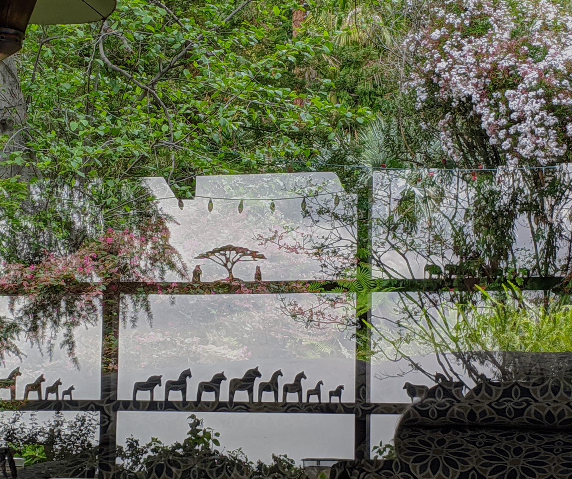 Patio View
