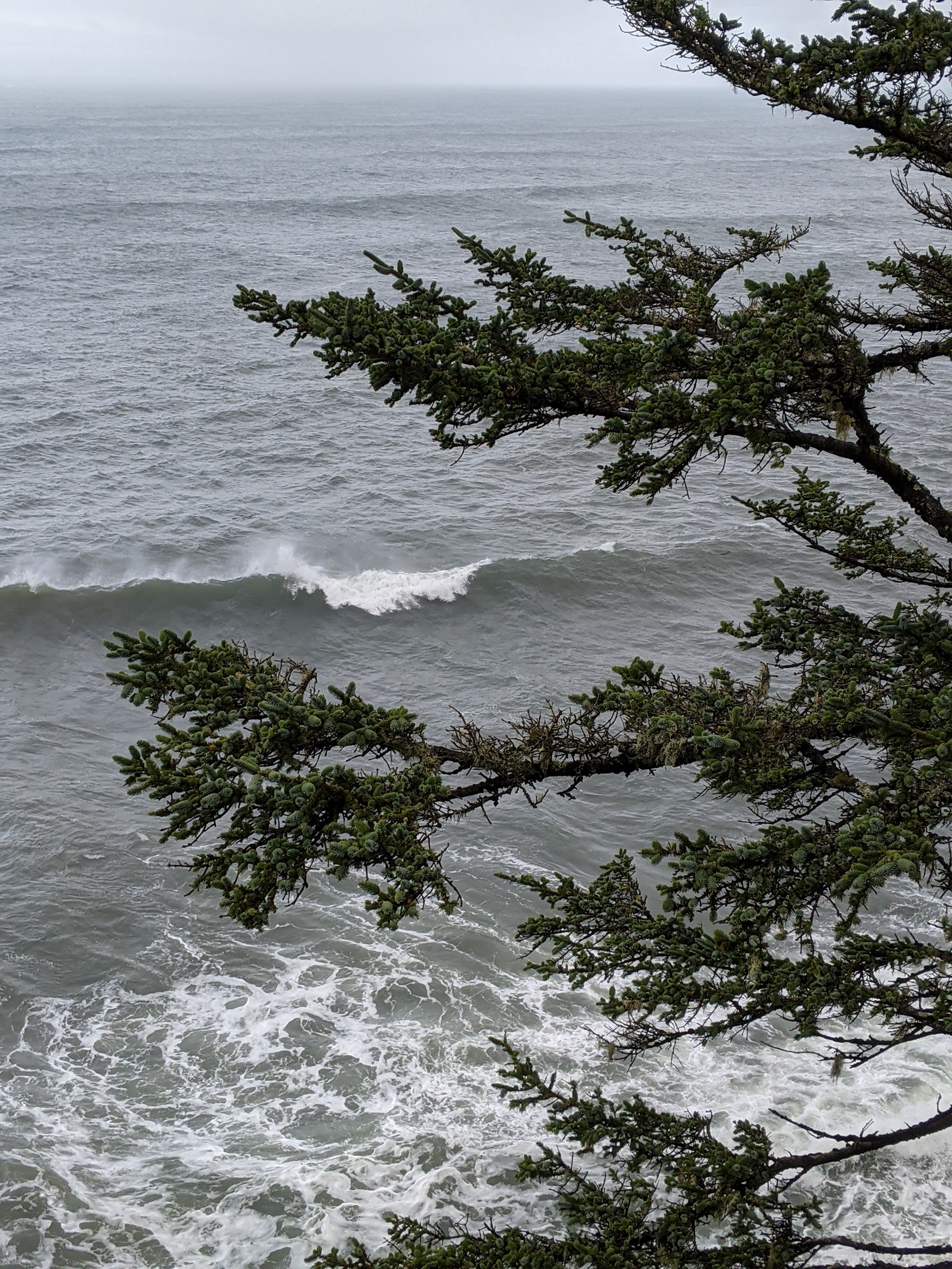 Sculpted By The Wind