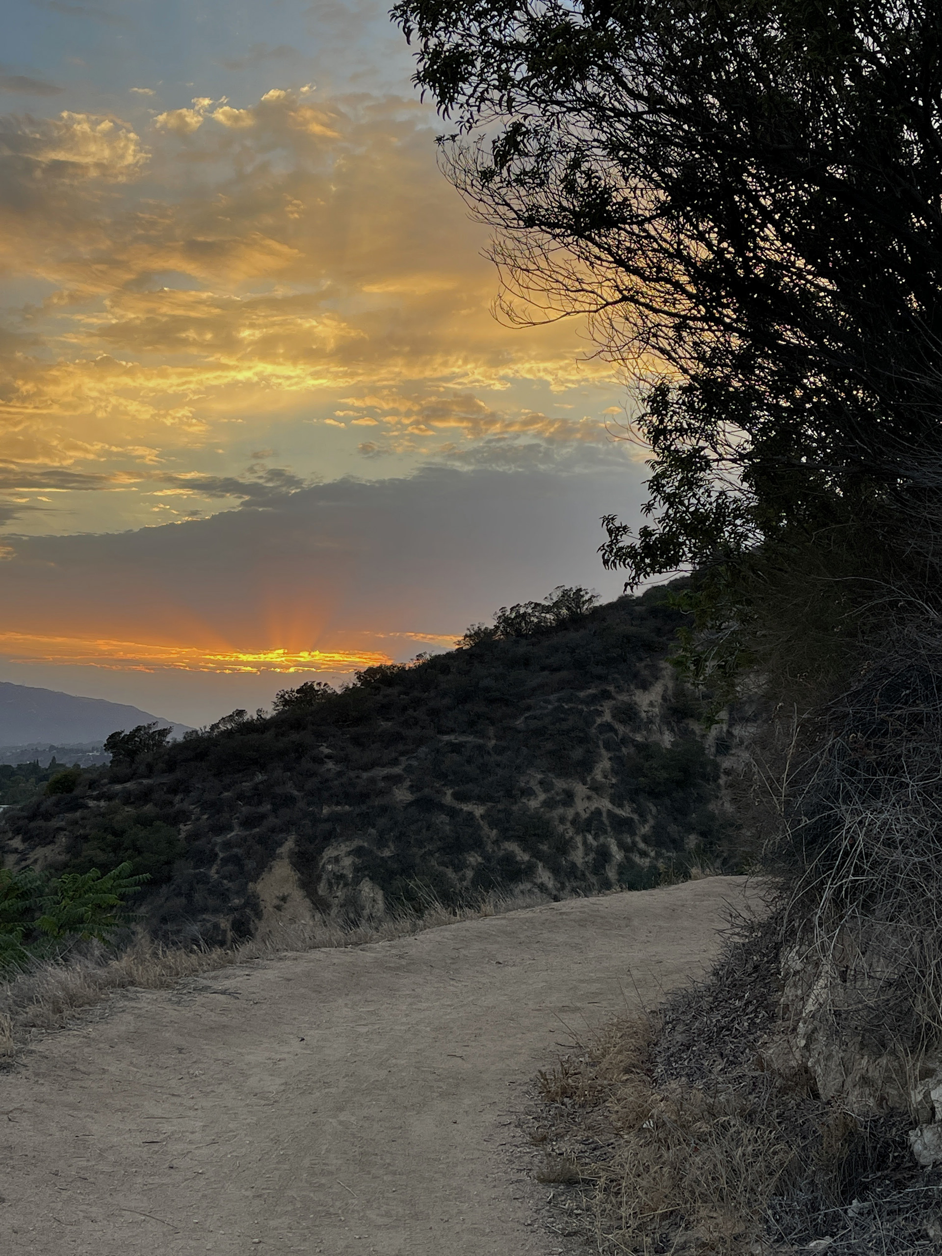 Evening Stroll