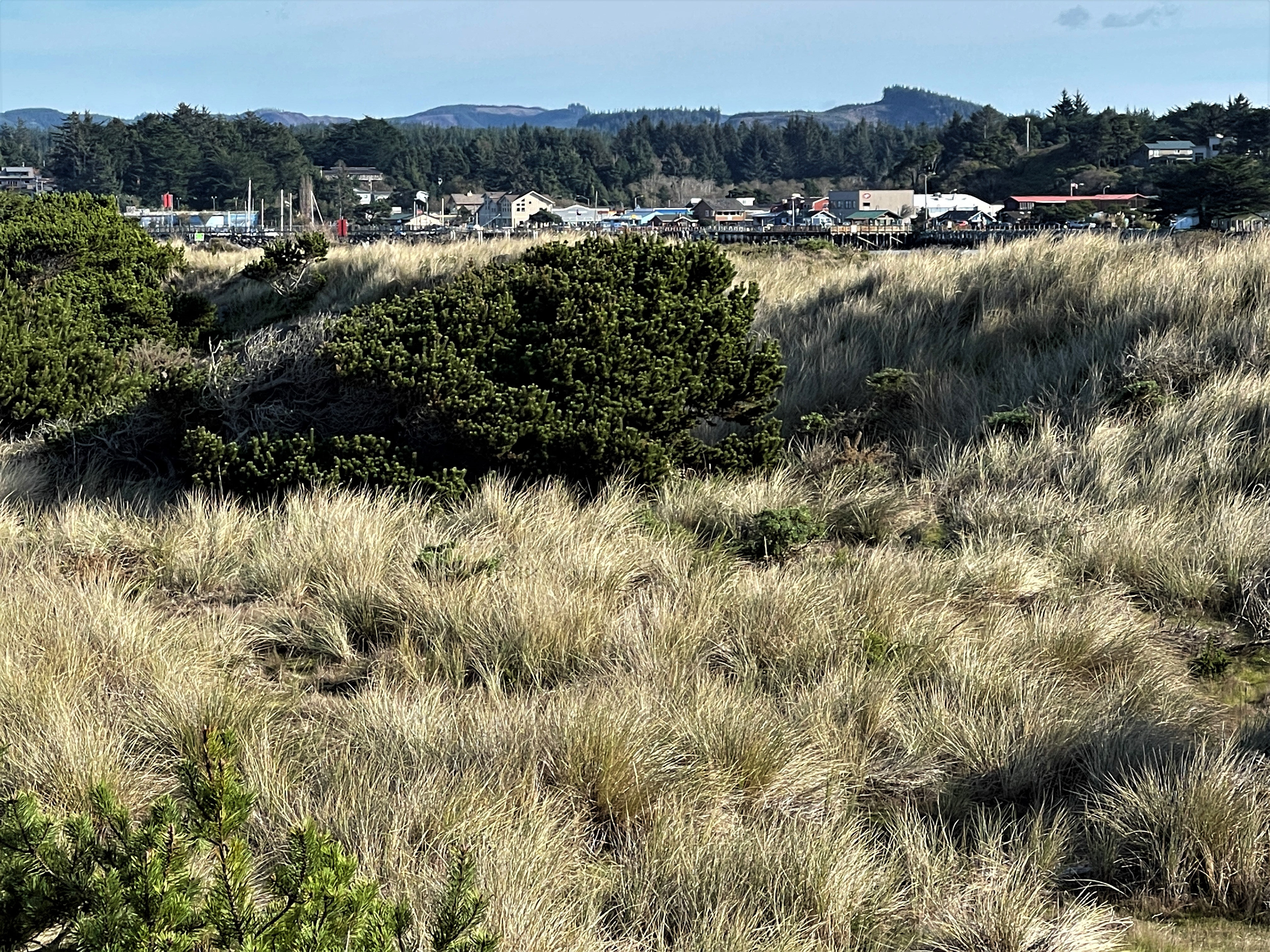 Bandon-By-The-Sea