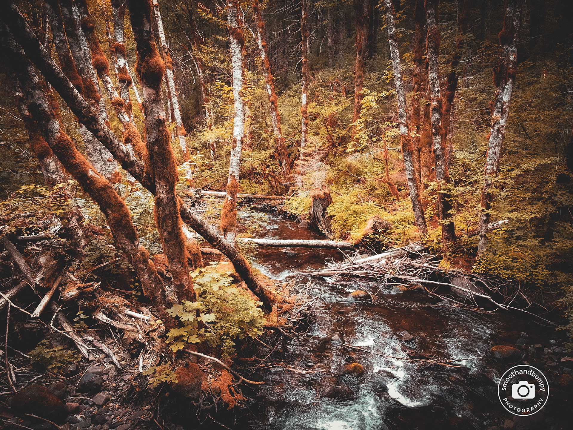 DCIM/100MEDIA/DJI_0109.JPG