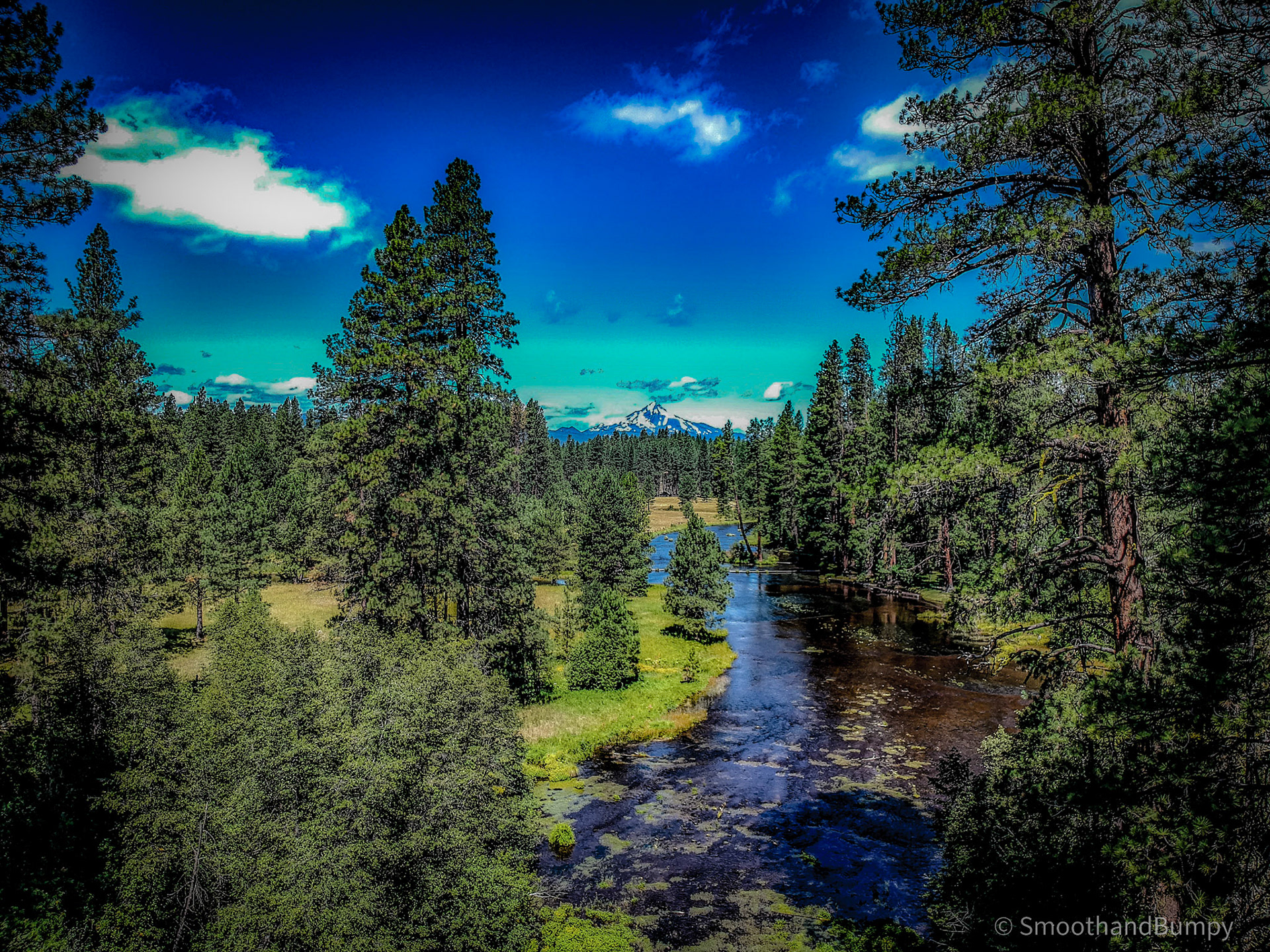 DCIM/100MEDIA/DJI_0081.JPG