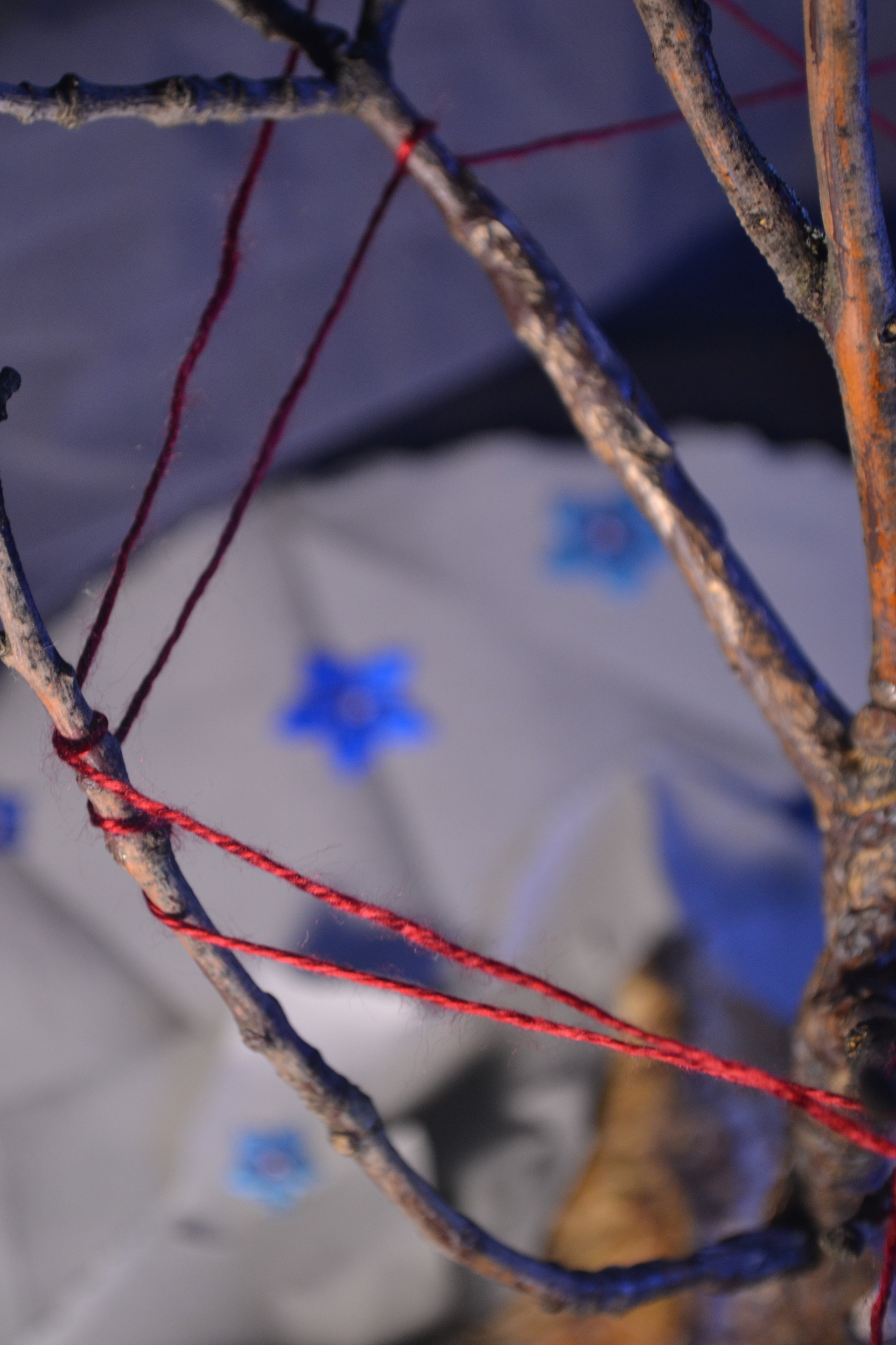 Tree with Red String