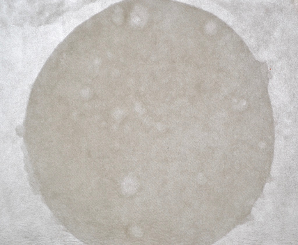 Handmade Paper (Experimental Shadow Puppetry)