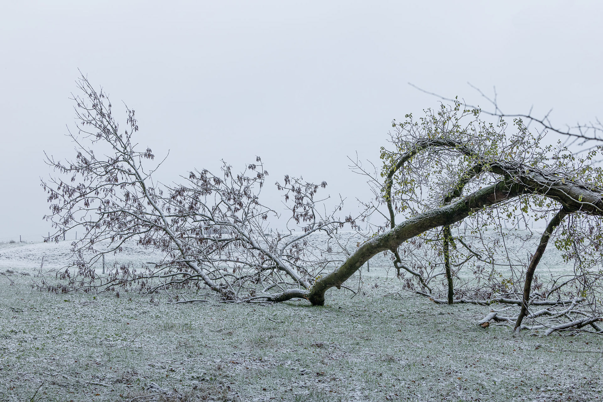 Landschapspark Vlaamse Ardennen - Bos Ter Rijst - Maarkdal