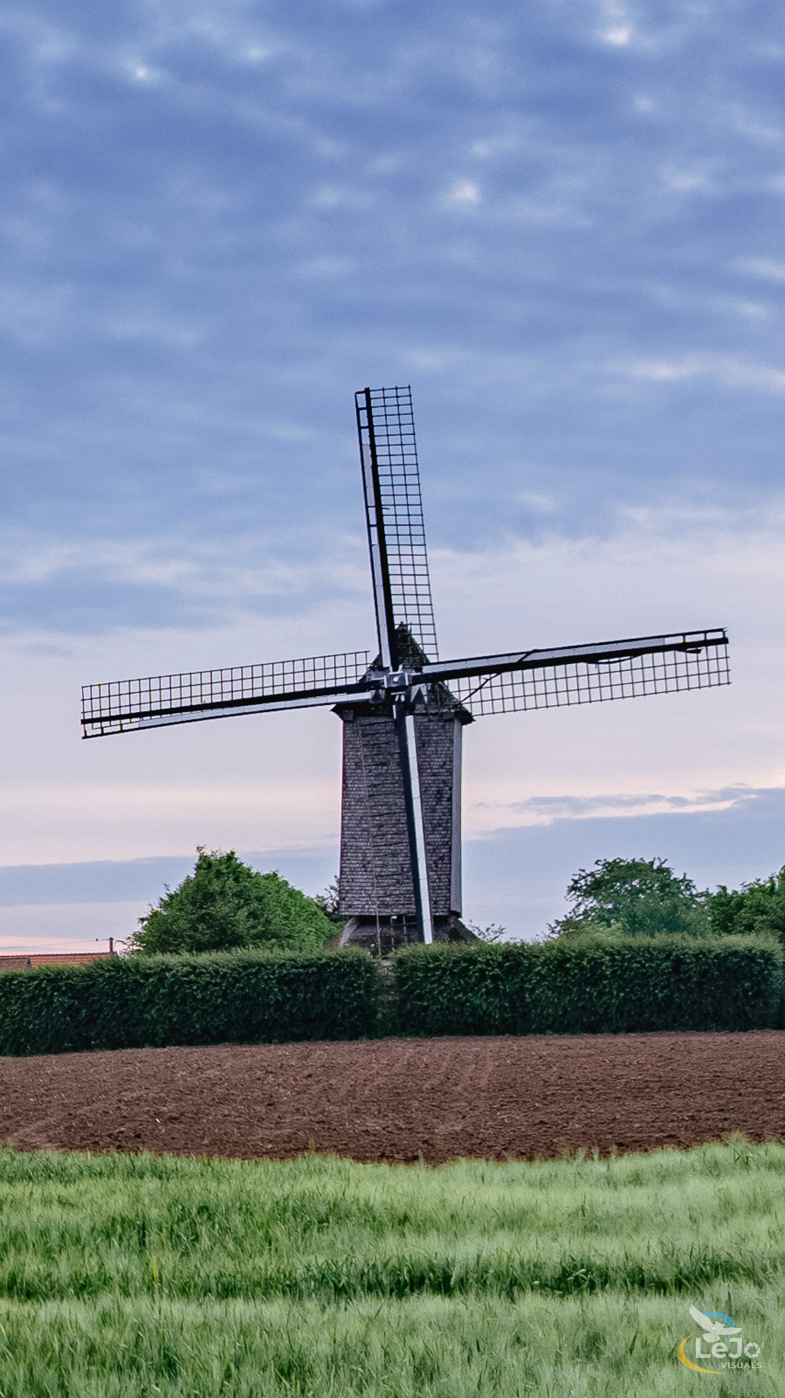 Bossenaarmolen - Maarkedal