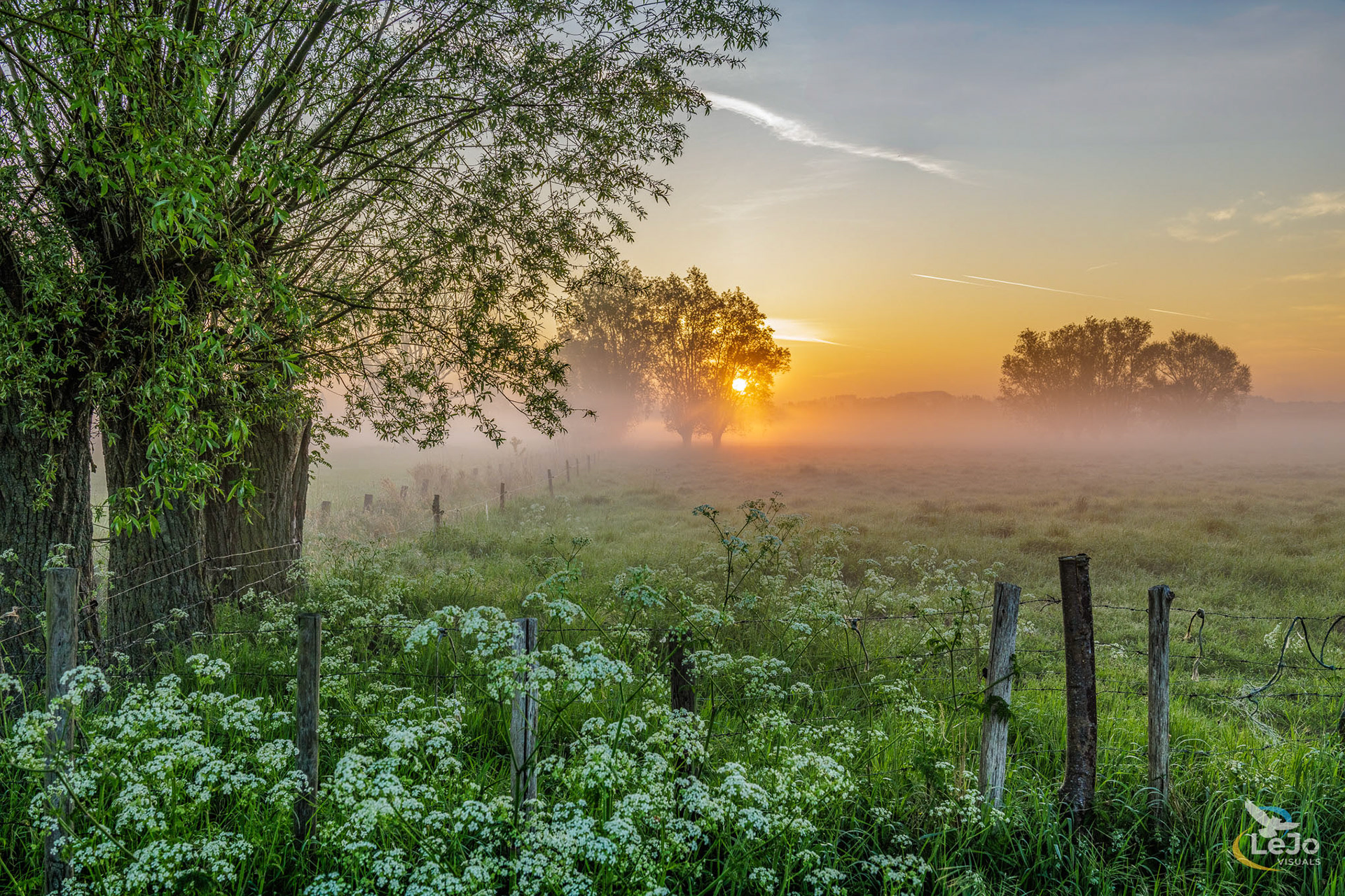 Mistige zonsopkomst in Langemeersen - Wortegem-Petegem