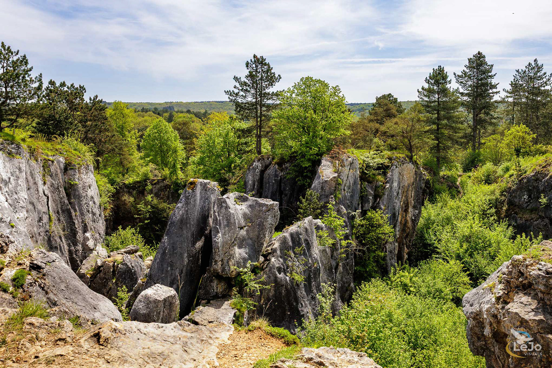 Fondry des Chiens - Nismes