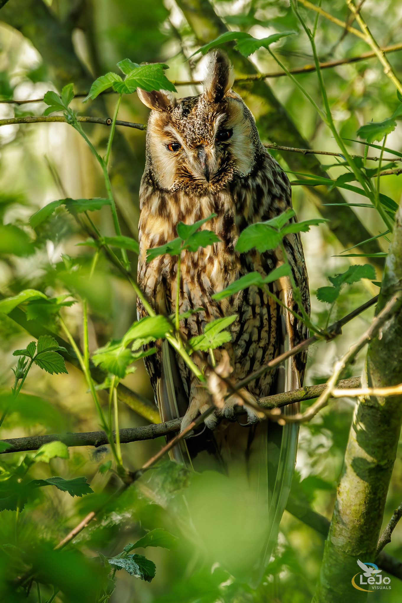 Ransuil - Langemeersen - Wortegem-Petegem