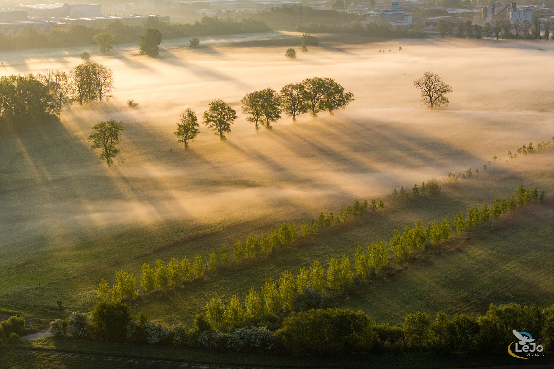 Zonneharpen in Langemeersen - Oudenaarde