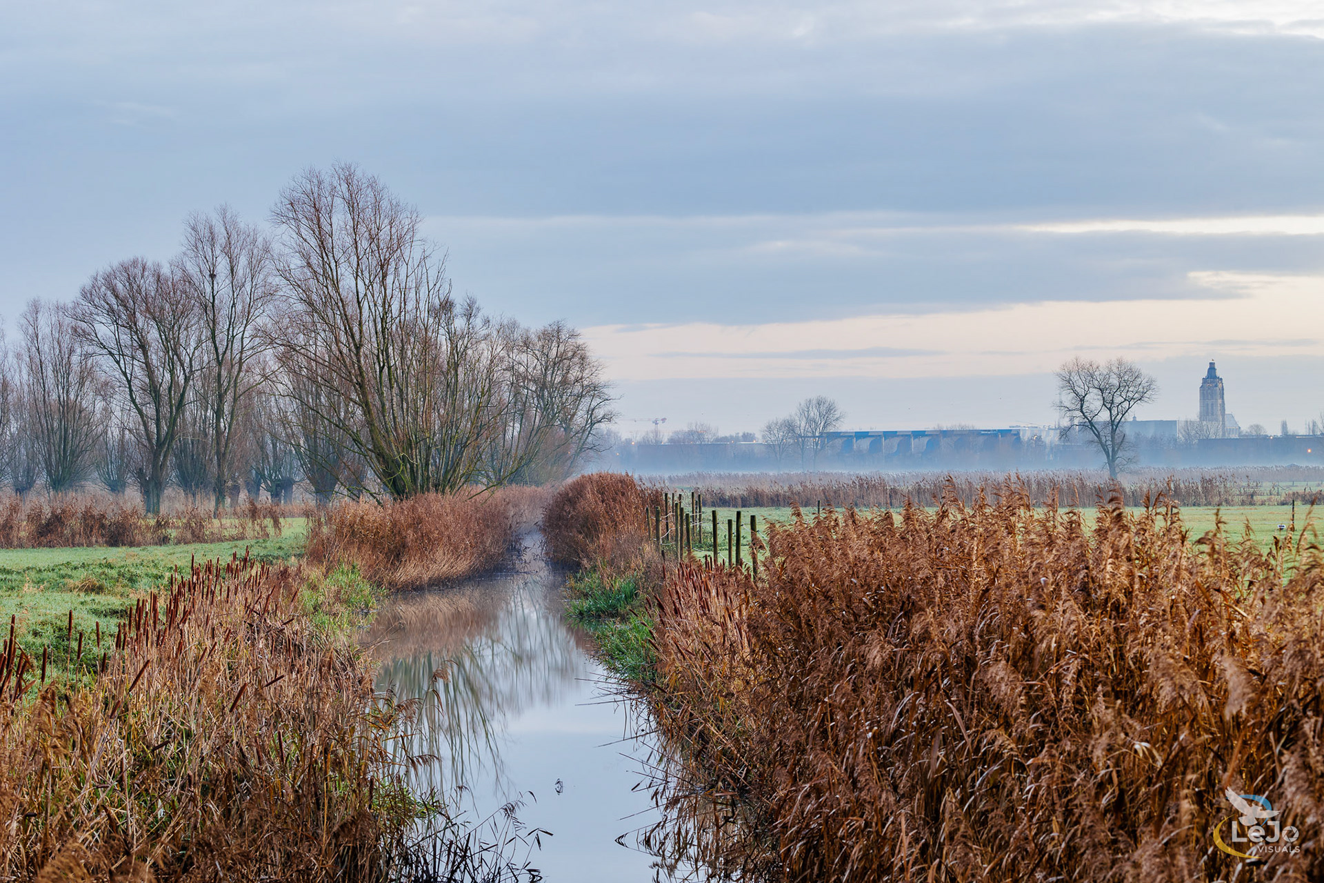 Herfstkleuren aan de Coupure - Wortegem-Petegem