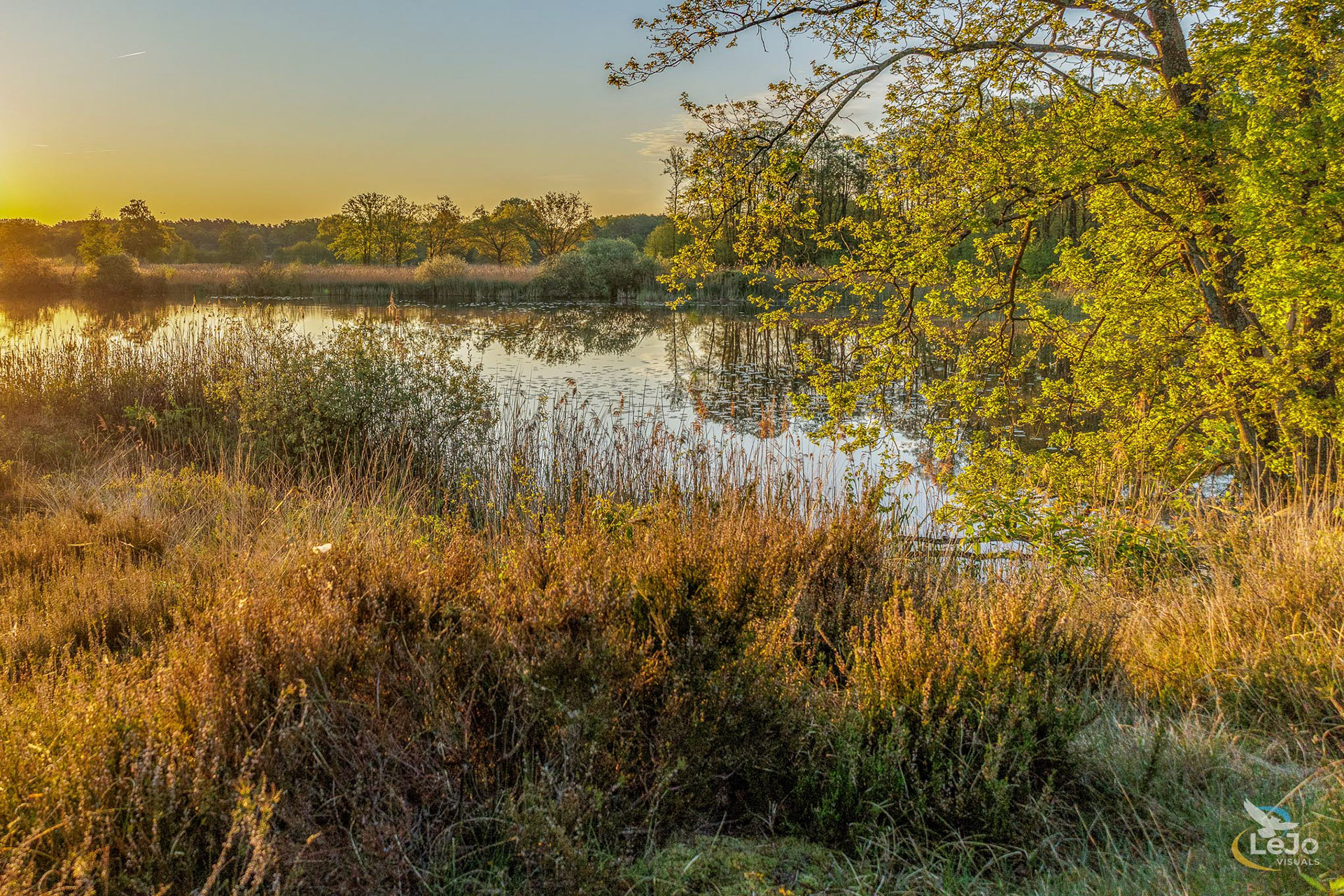 Zicht op vijver in de Maten - Genk