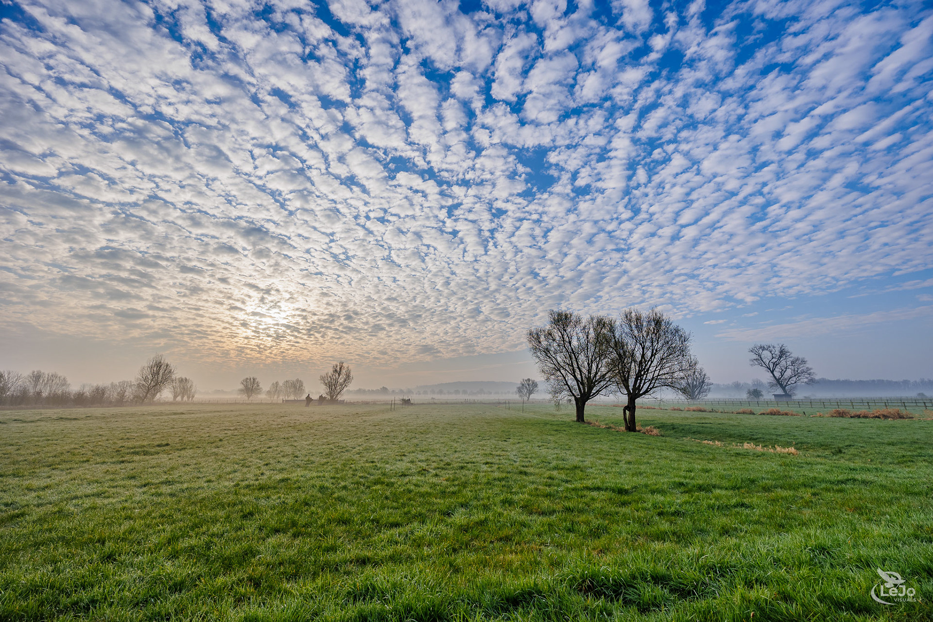 Langemeersen met groothoeklens