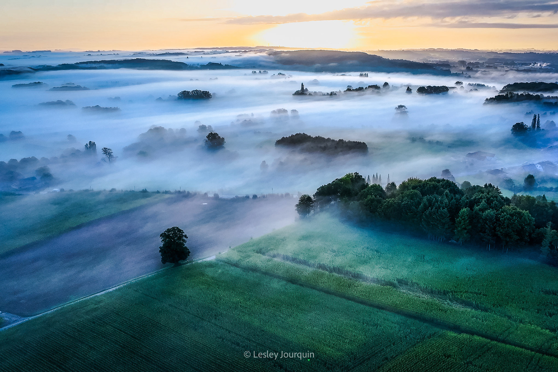 Mistdeken boven landschap - Maarkedal
