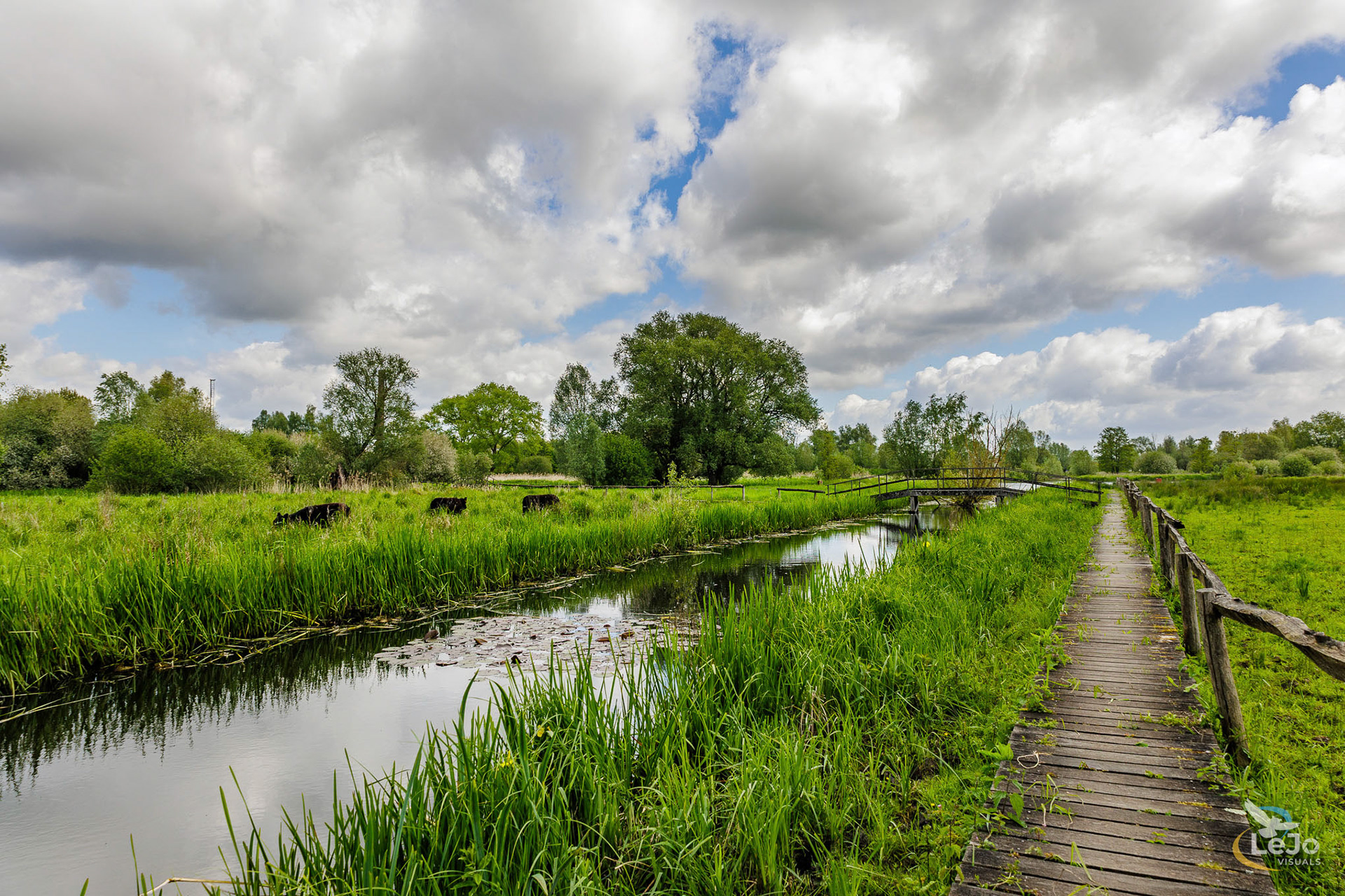 Wolkenlucht met weerspiegeling - Paddenbroek - Kluisbergen)