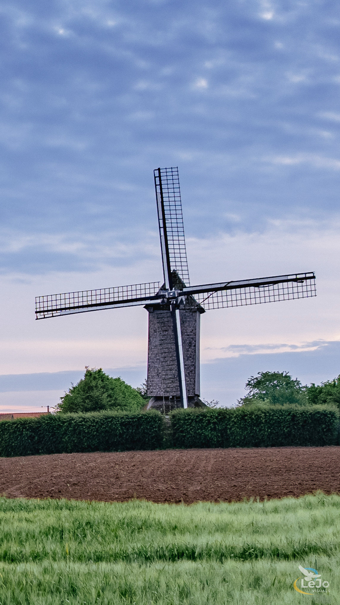 Bossenaarmolen - Maarkedal
