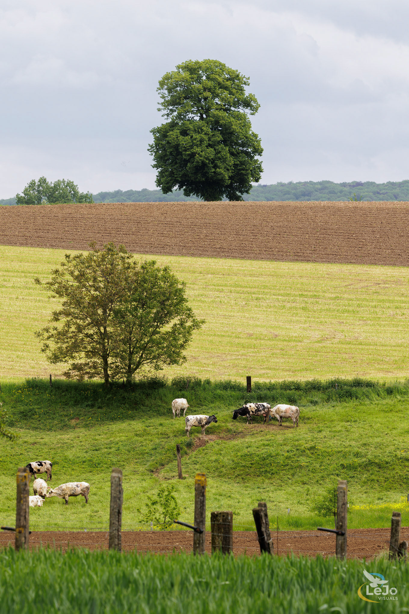Landschap in laagjes - Tenhole - Maarkedal