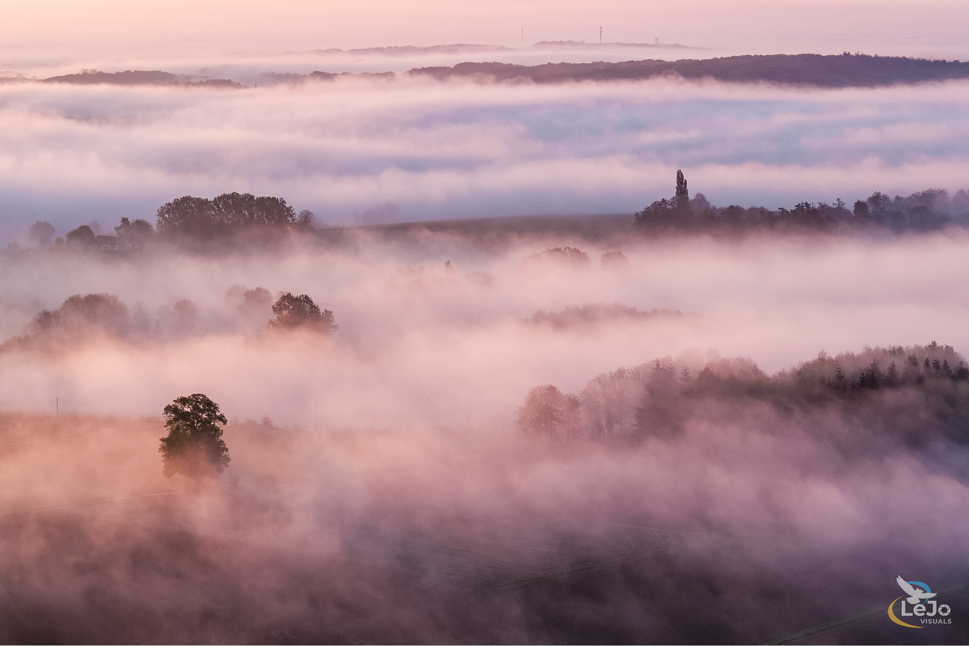 Mistige zonsopkomst - Maarkedal