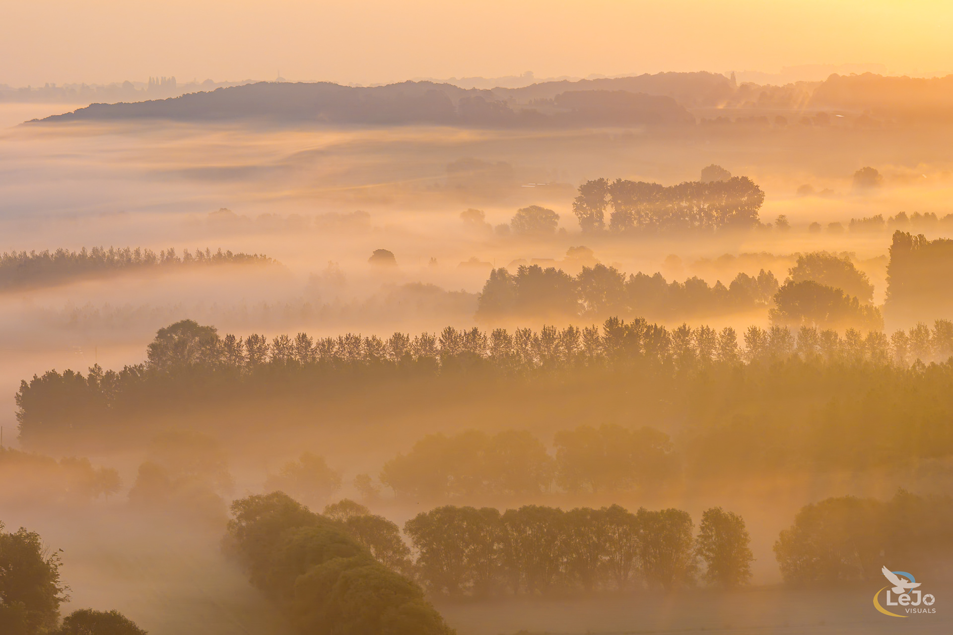 Mistige zonsopkomst - Kluisbergen