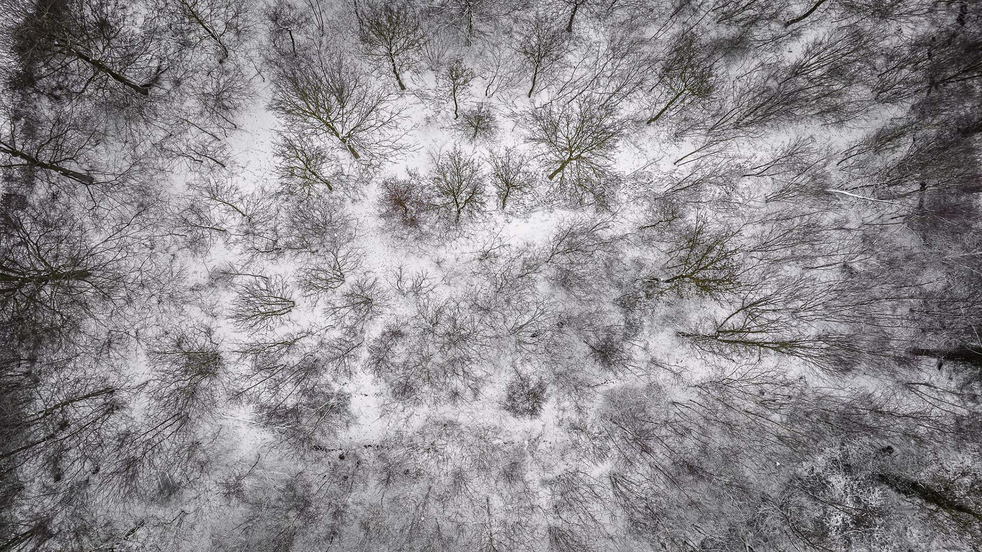 Sneeuwlandschap - Maarkedal/Kluisbergen