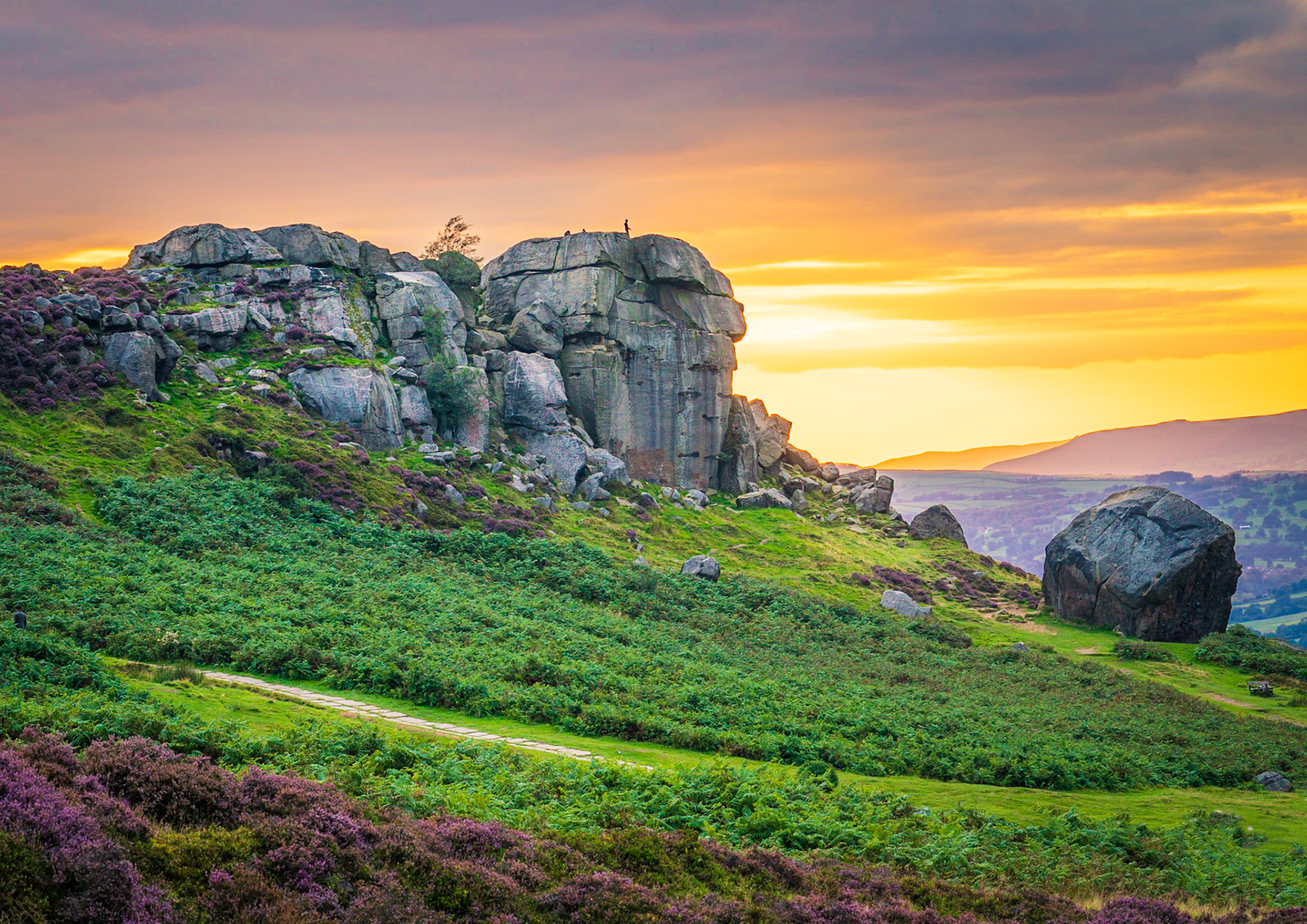 B058 - Cow and Calf Sunset