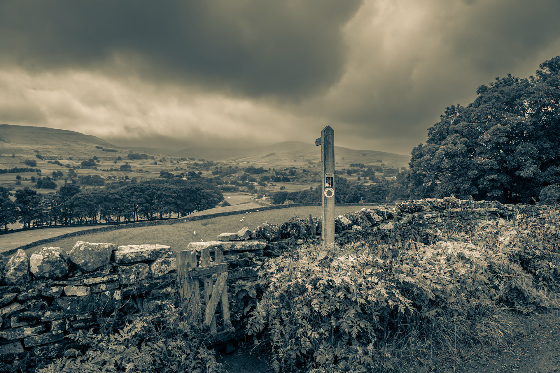 A142 - This way to Hawes (BW)