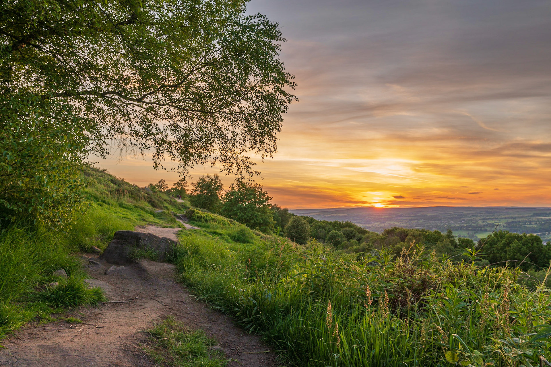 B031 - Otley Sunset with Tree