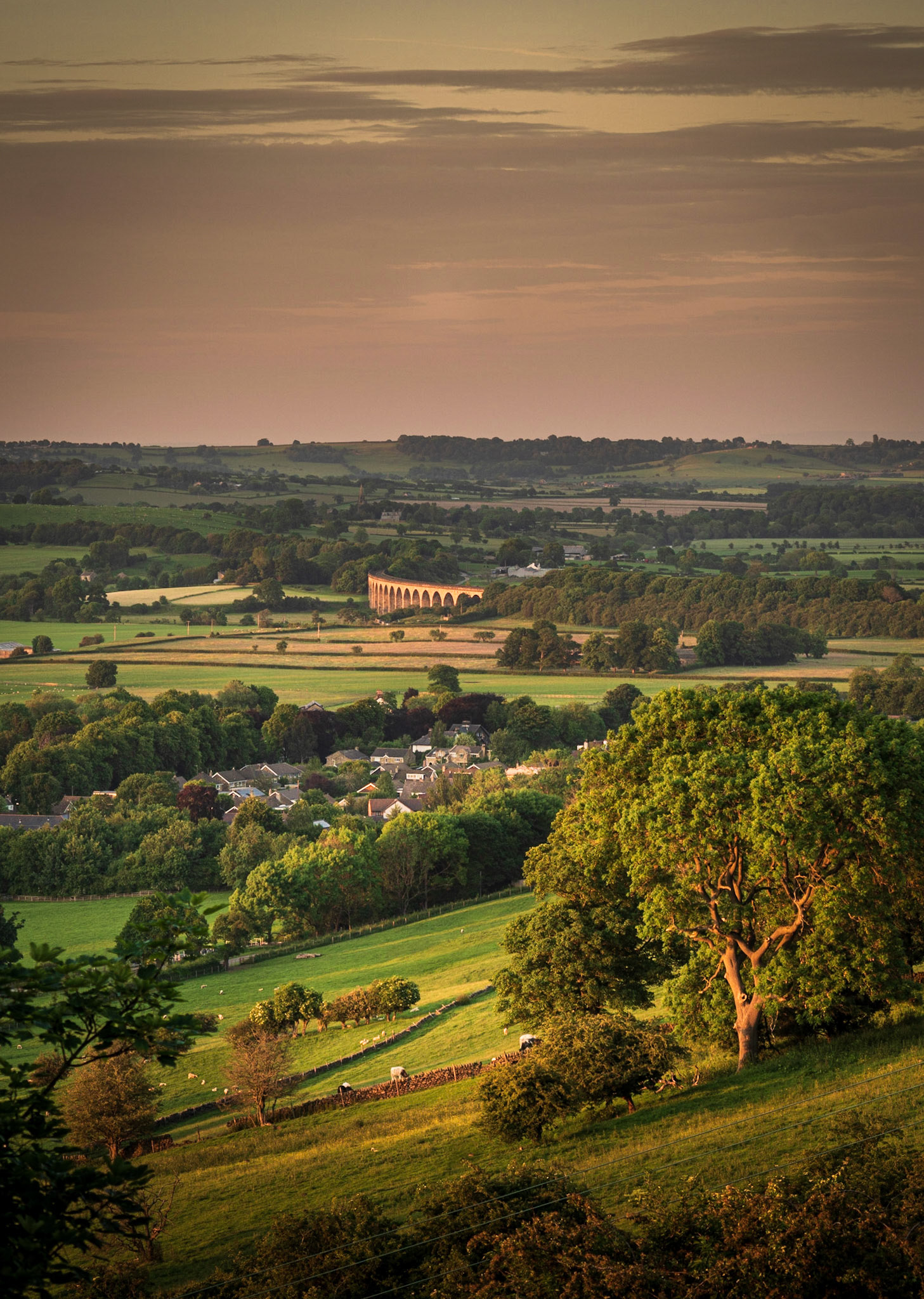 B030 - Arthington Viaduct (Golden Hour)