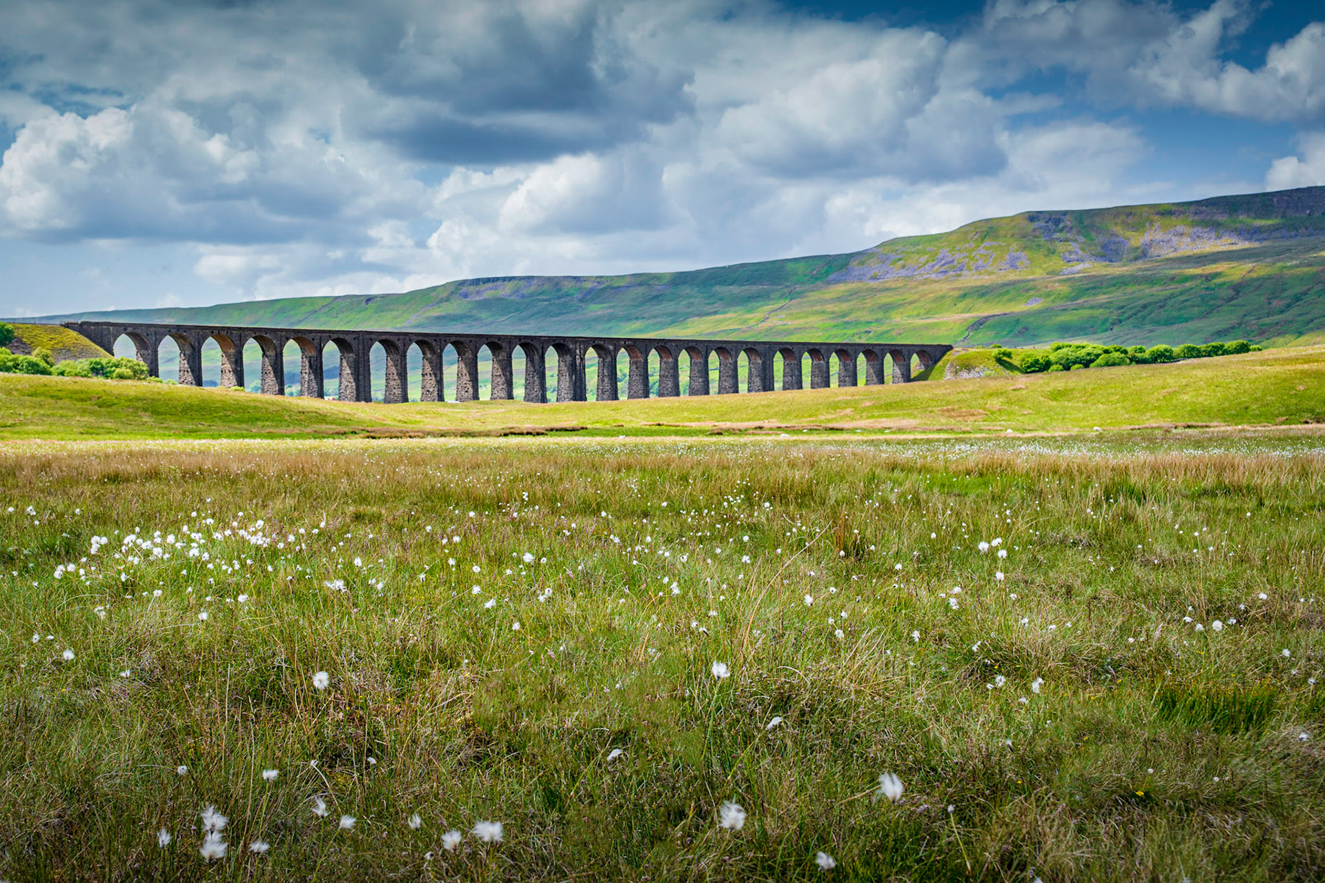 A061 - Whernside and Flowers