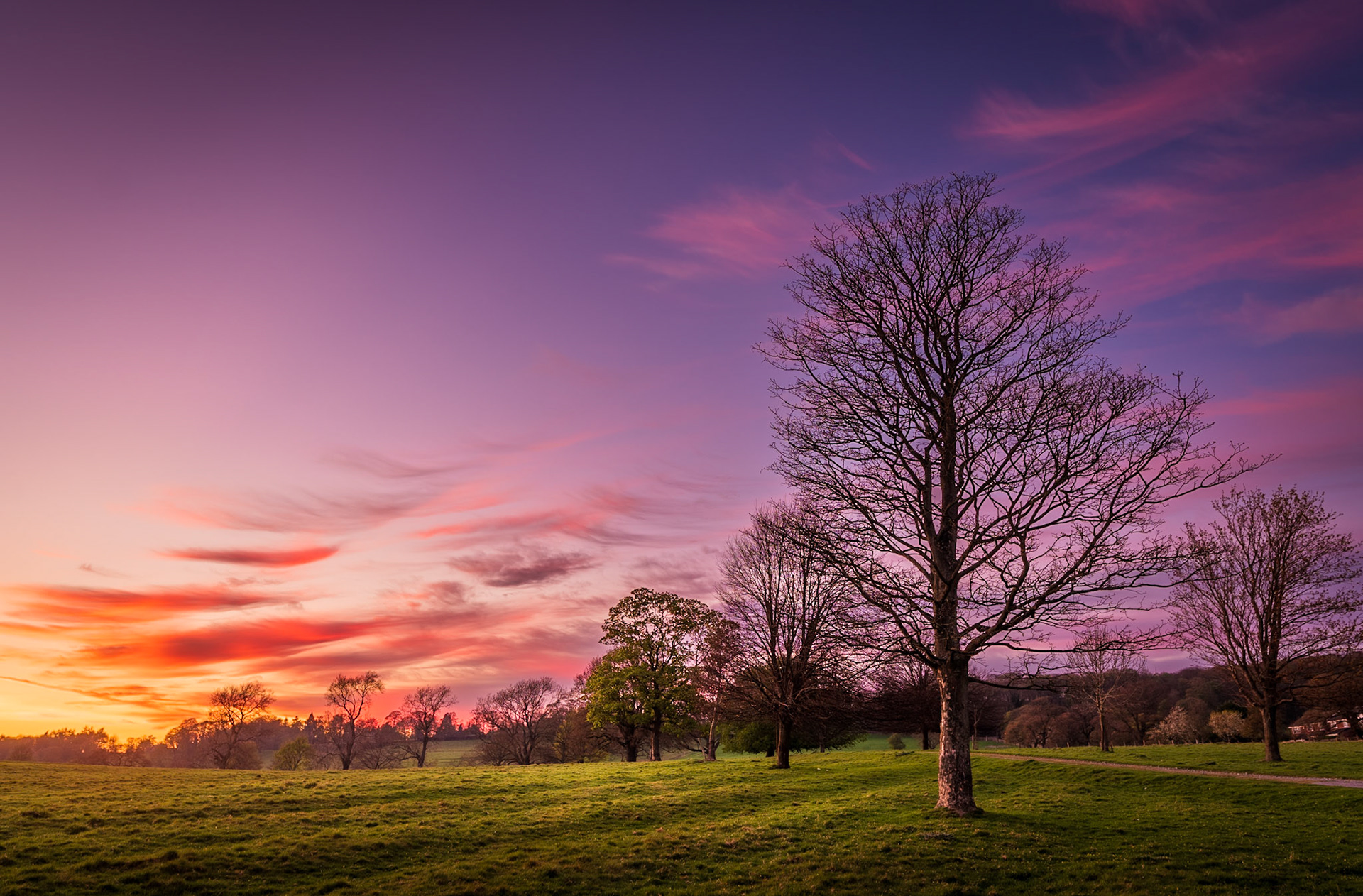 B015 - Purple Sunset