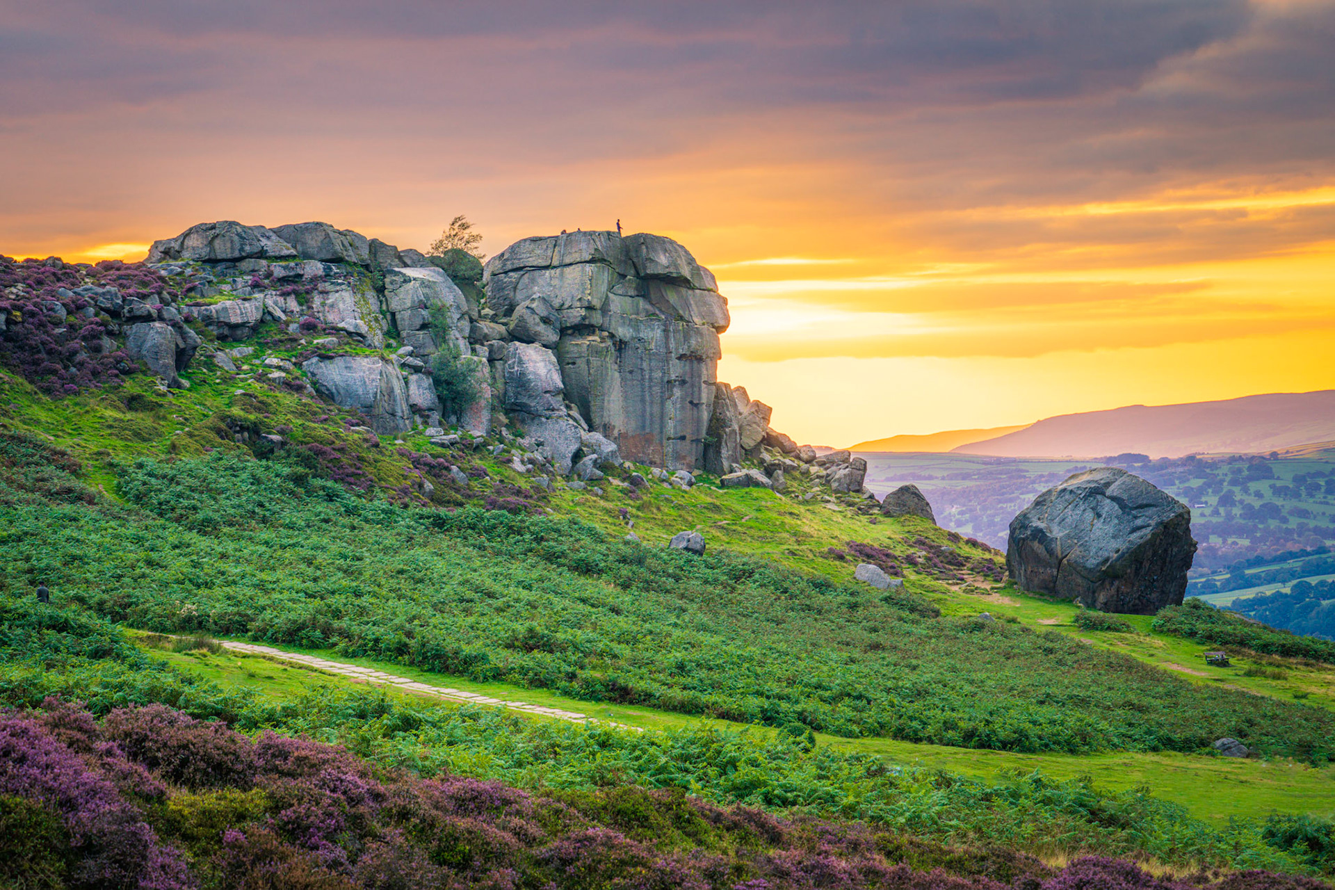 B058 - Cow and Calf Sunset