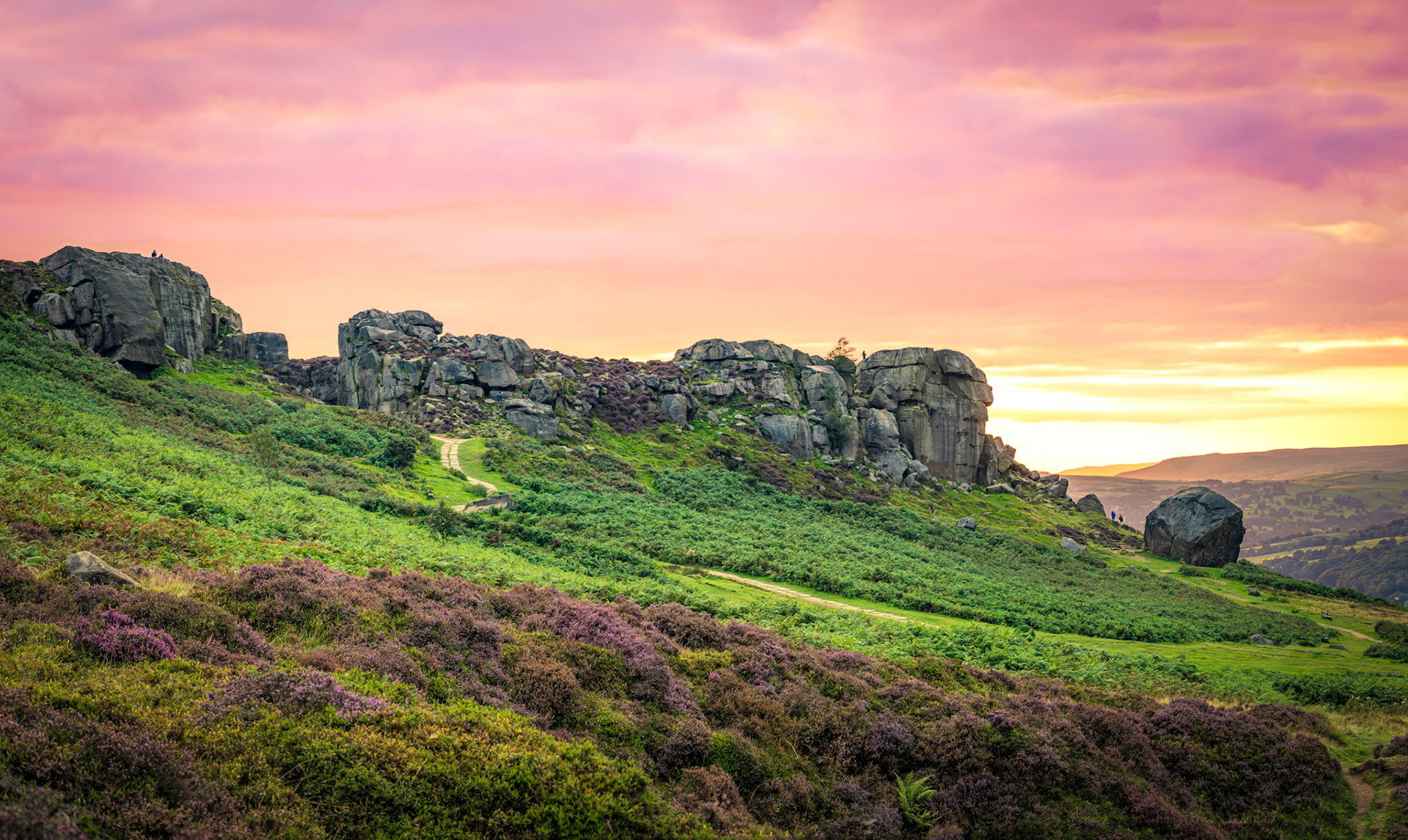 B091 - Cow and Calf Red Sky