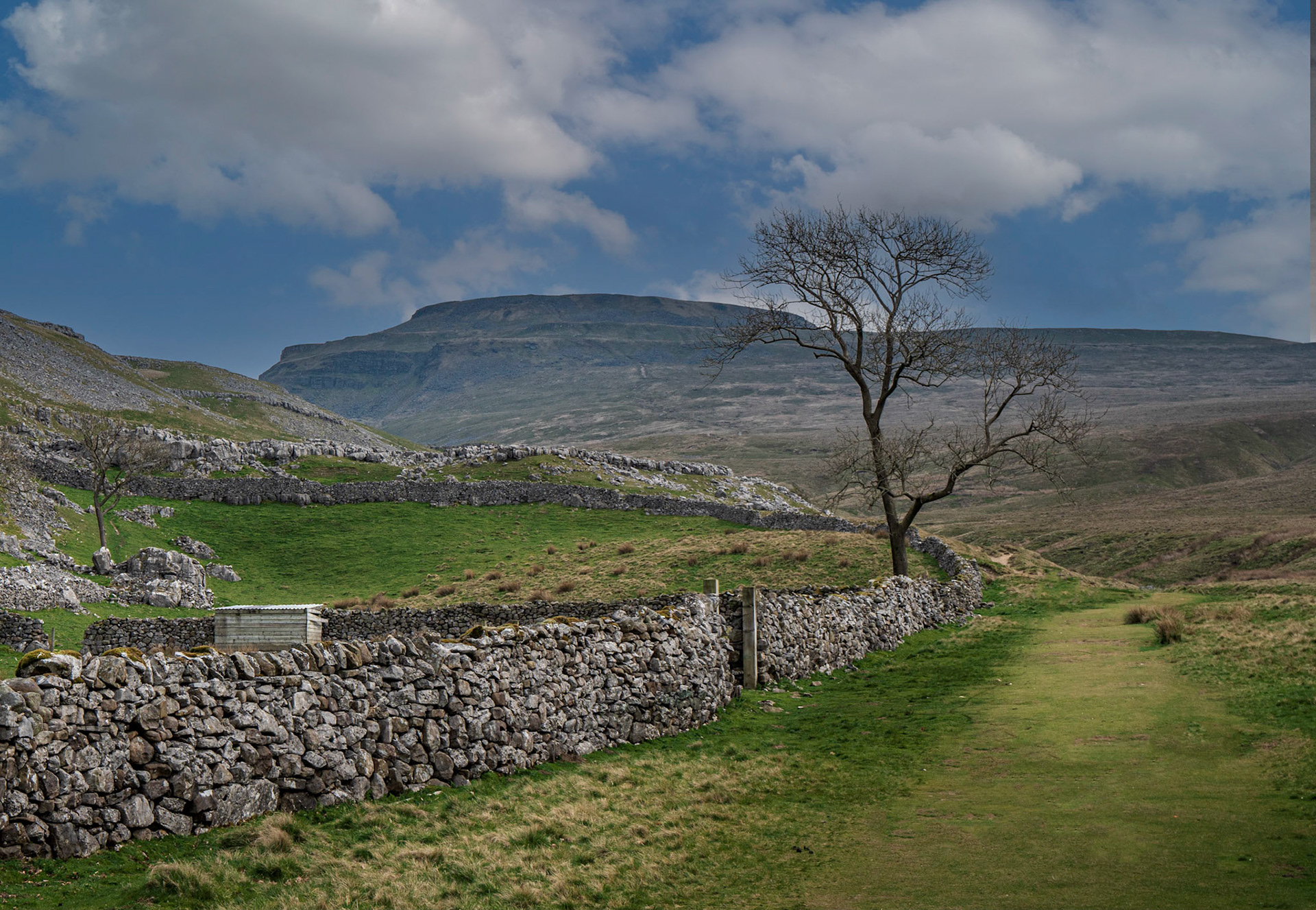 A008 - Ingleborough
